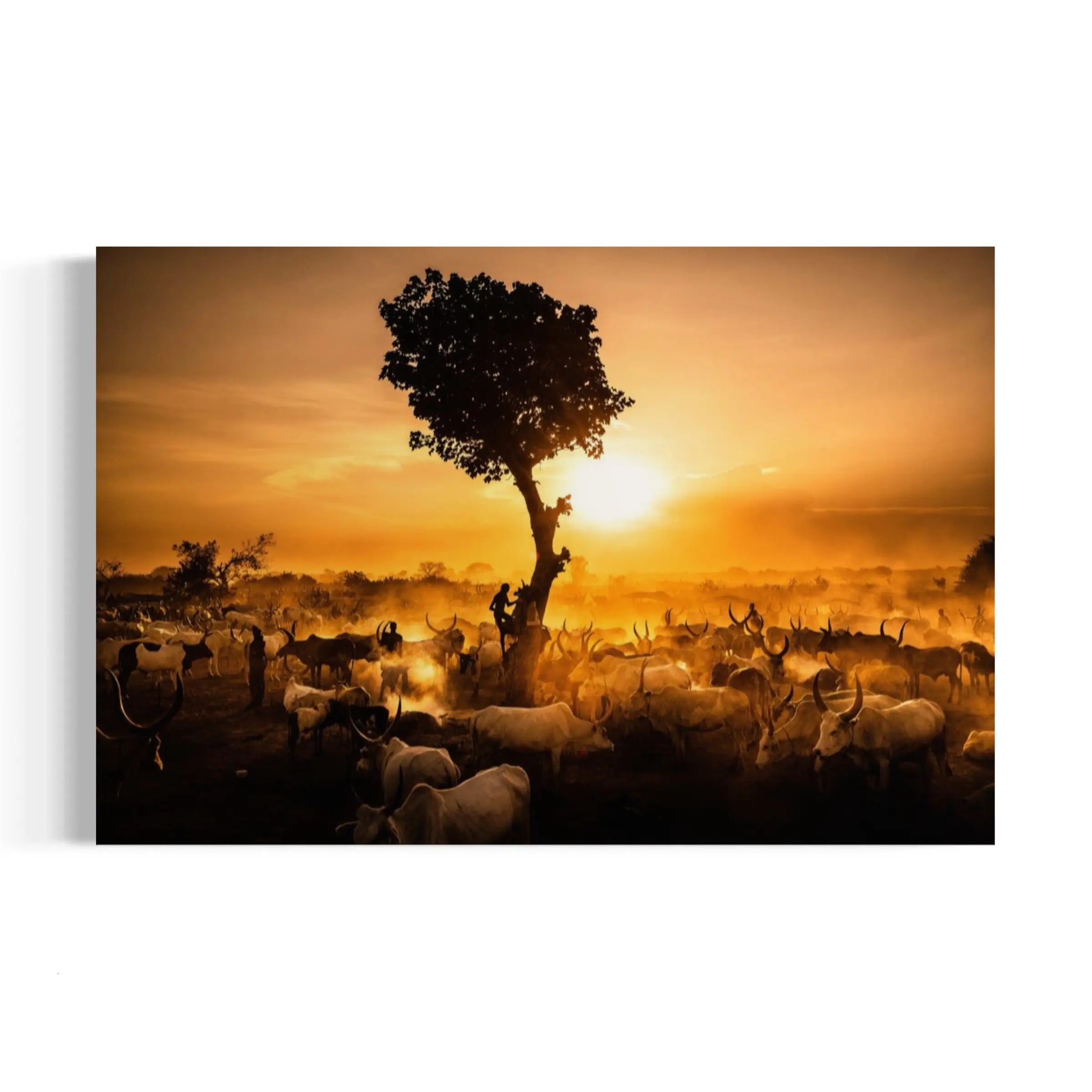 The Wisdom Tree Canvas Wall Art | Poster Print Canvastoria