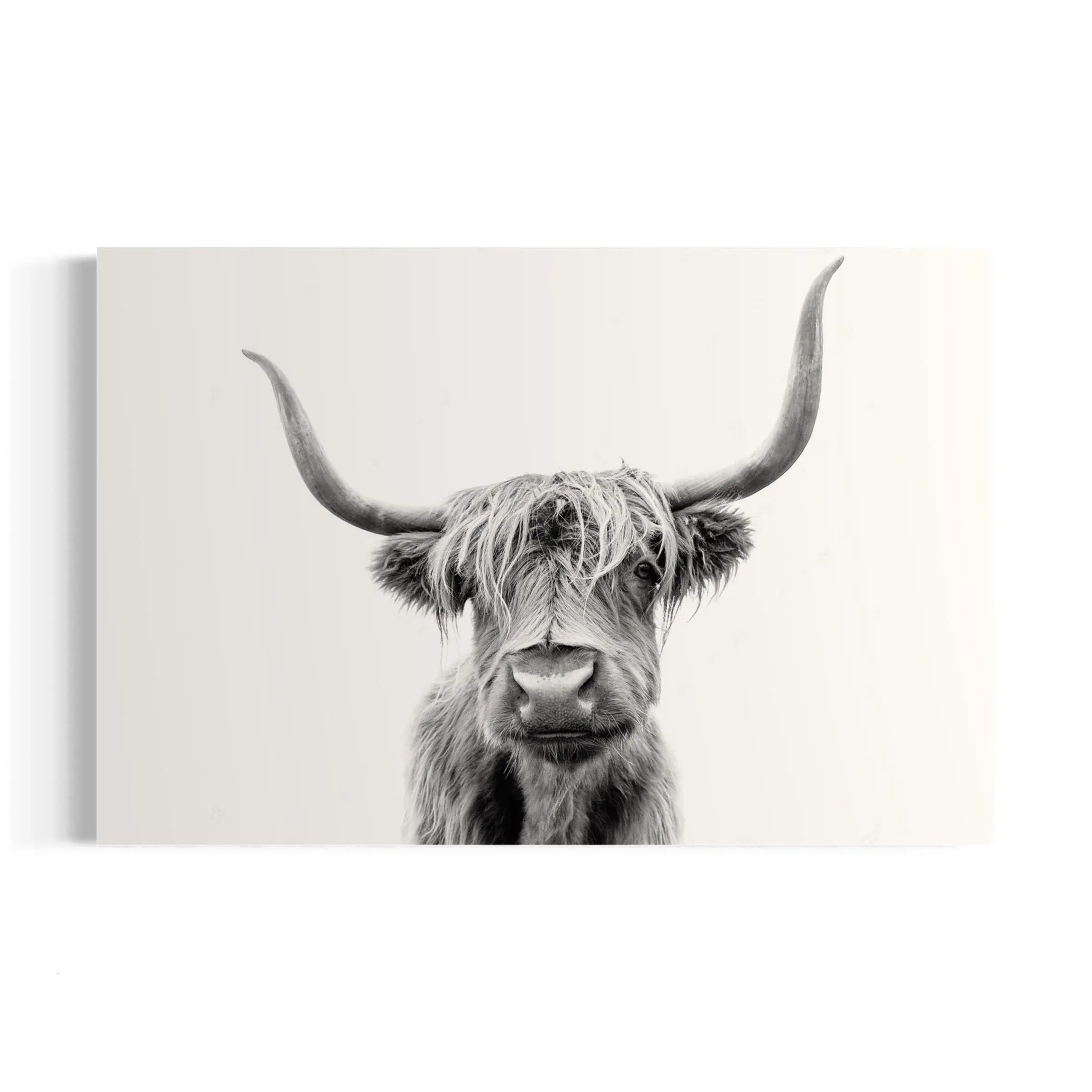 a black and white photo of a cow with long horns