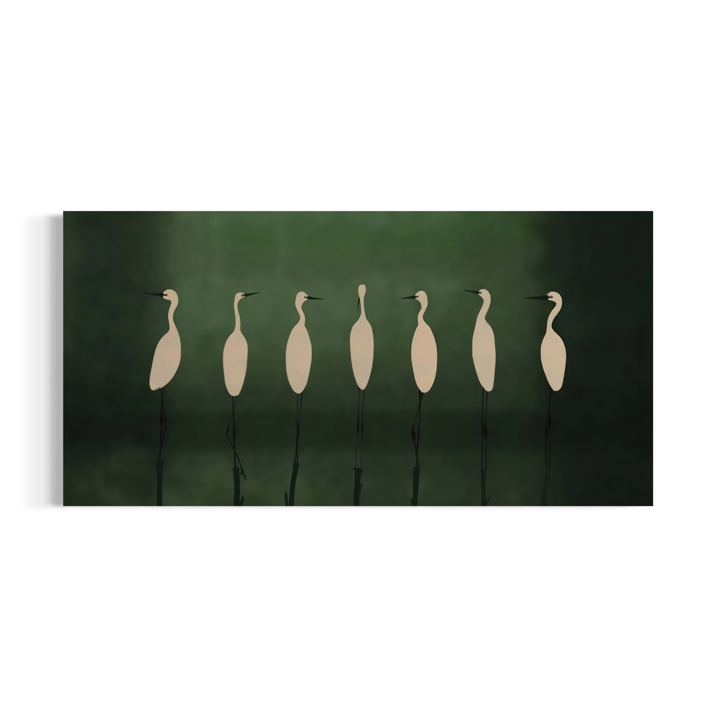 A group of white birds standing in a row against a dark green background.