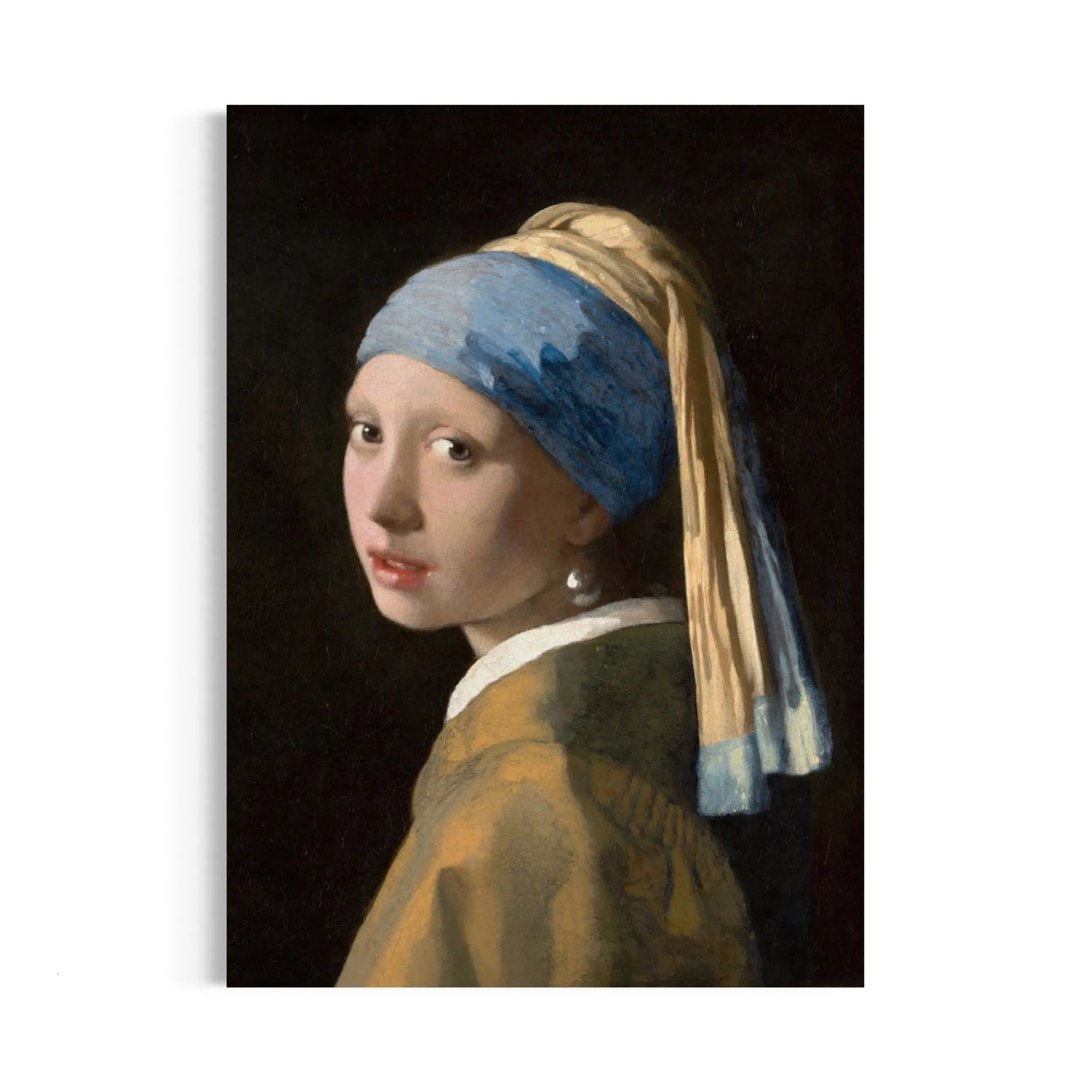 a painting of a girl with a pearl ear