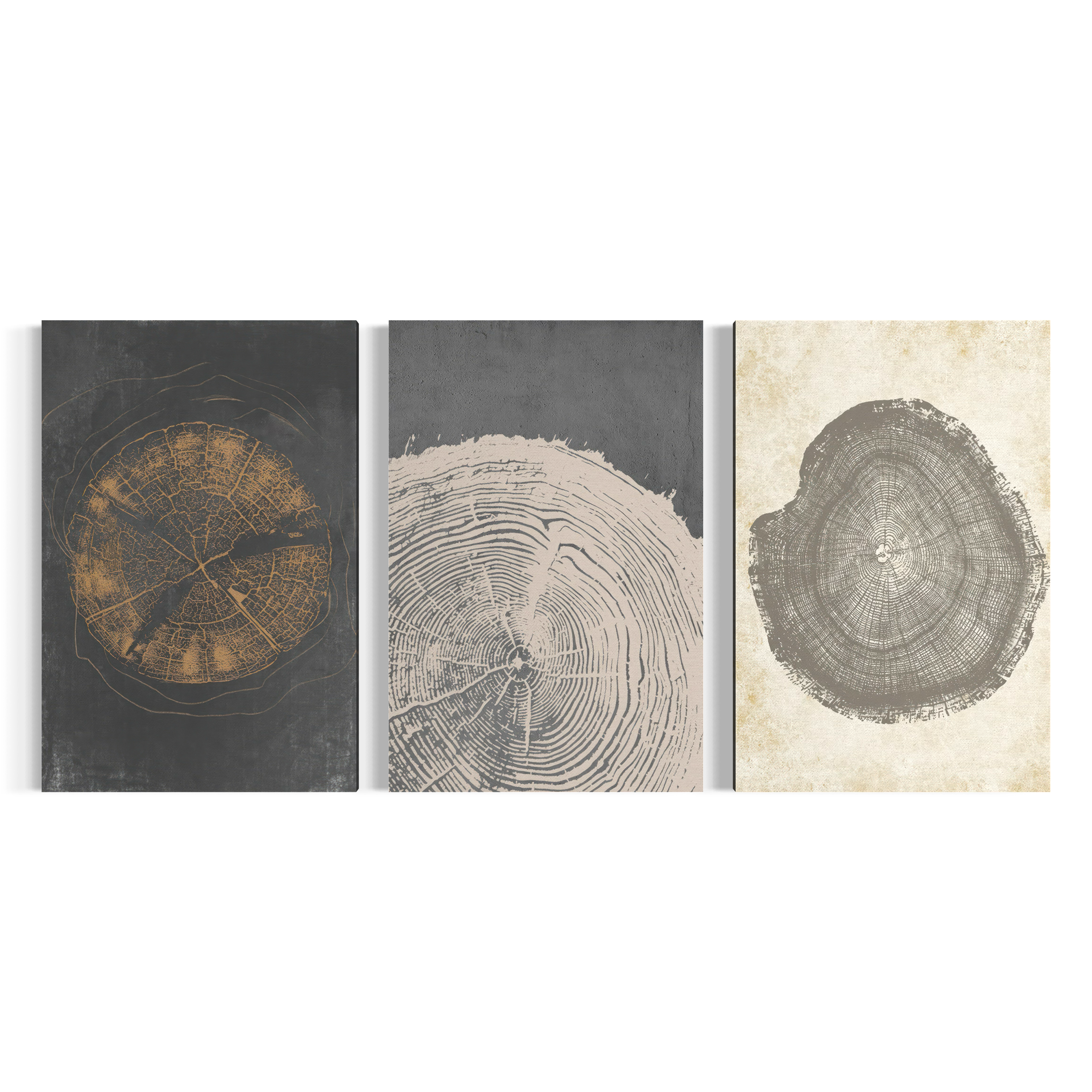 three distinct artworks or prints, each with a unique design and color scheme.
