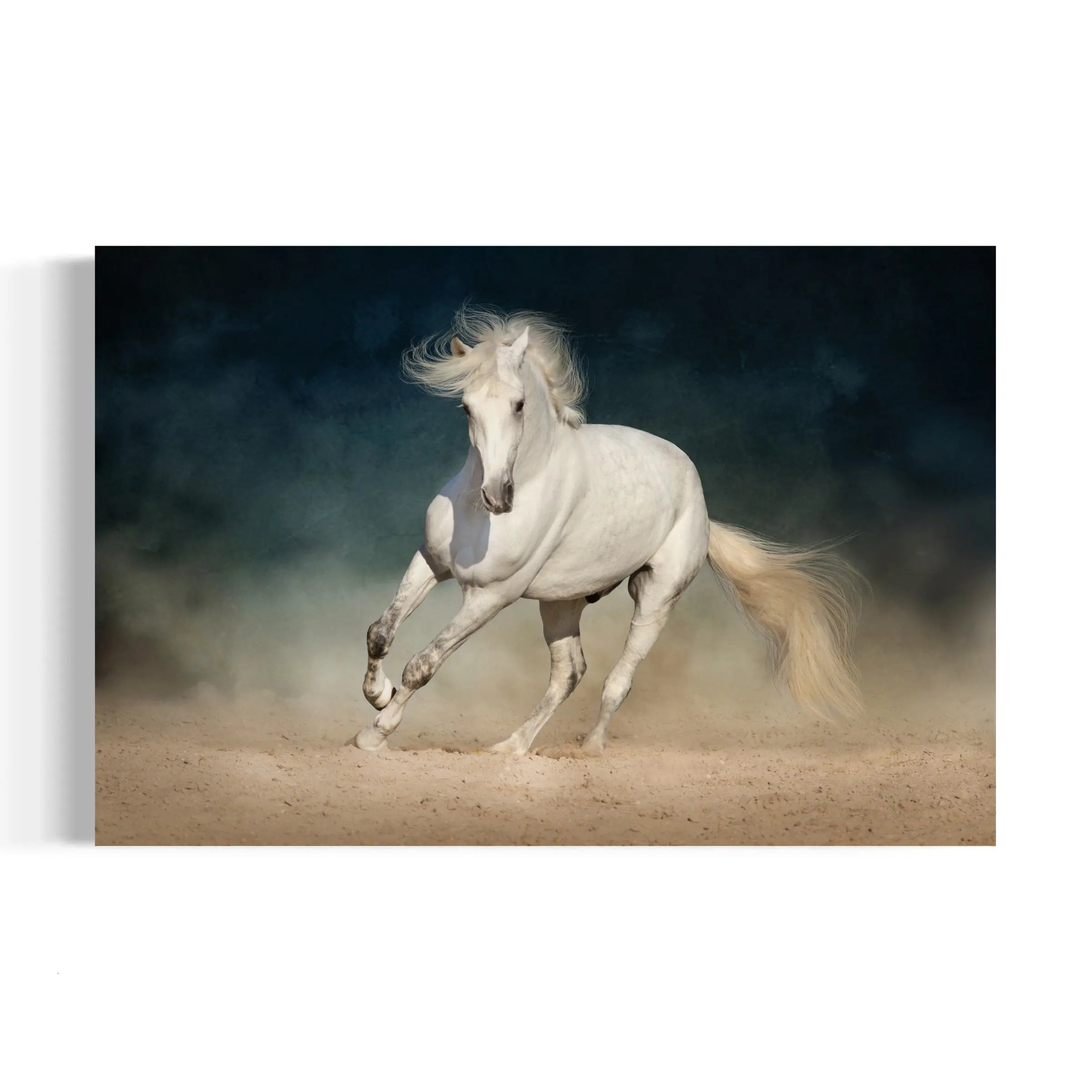 a white horse is galloping in the sand