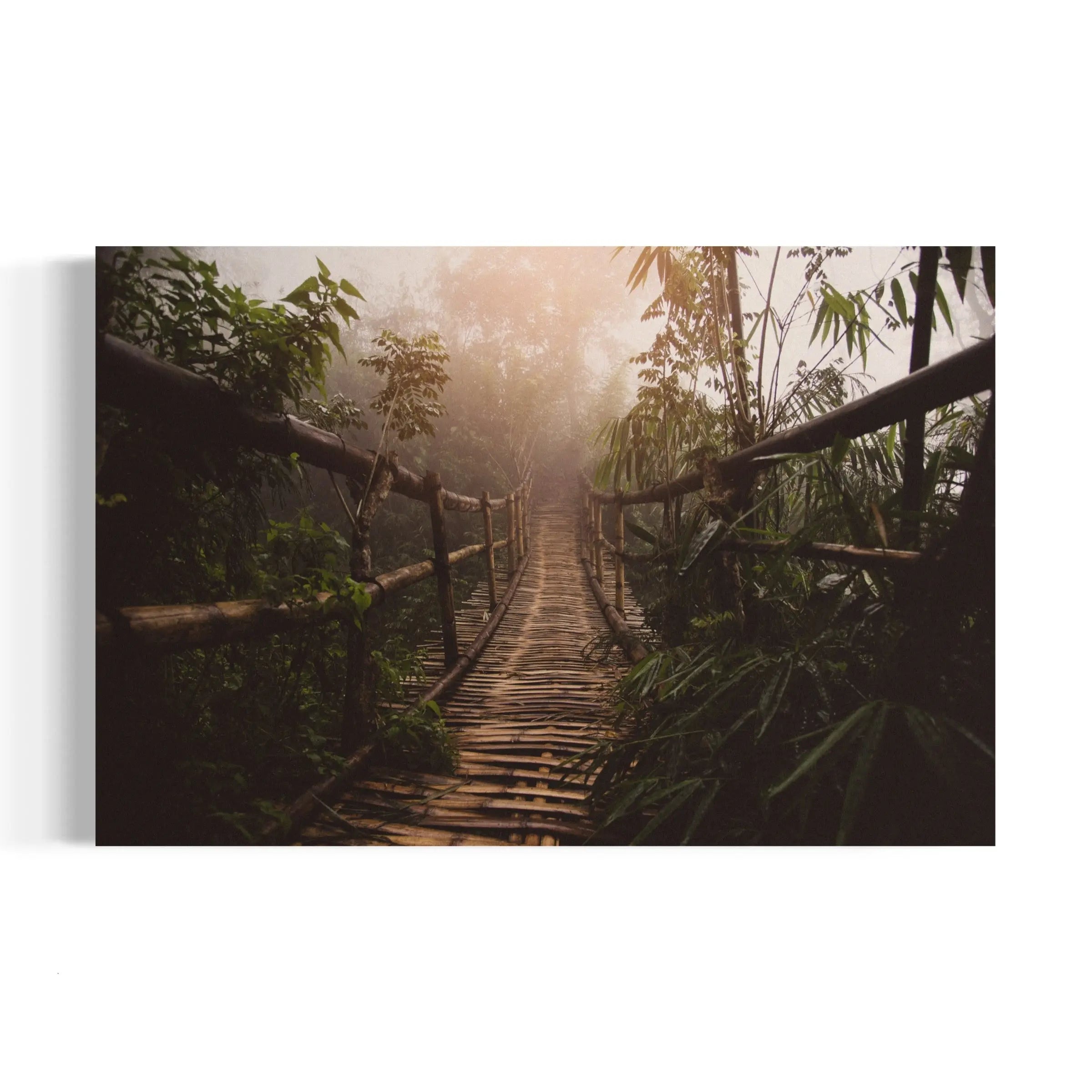 a wooden bridge in the middle of a jungle