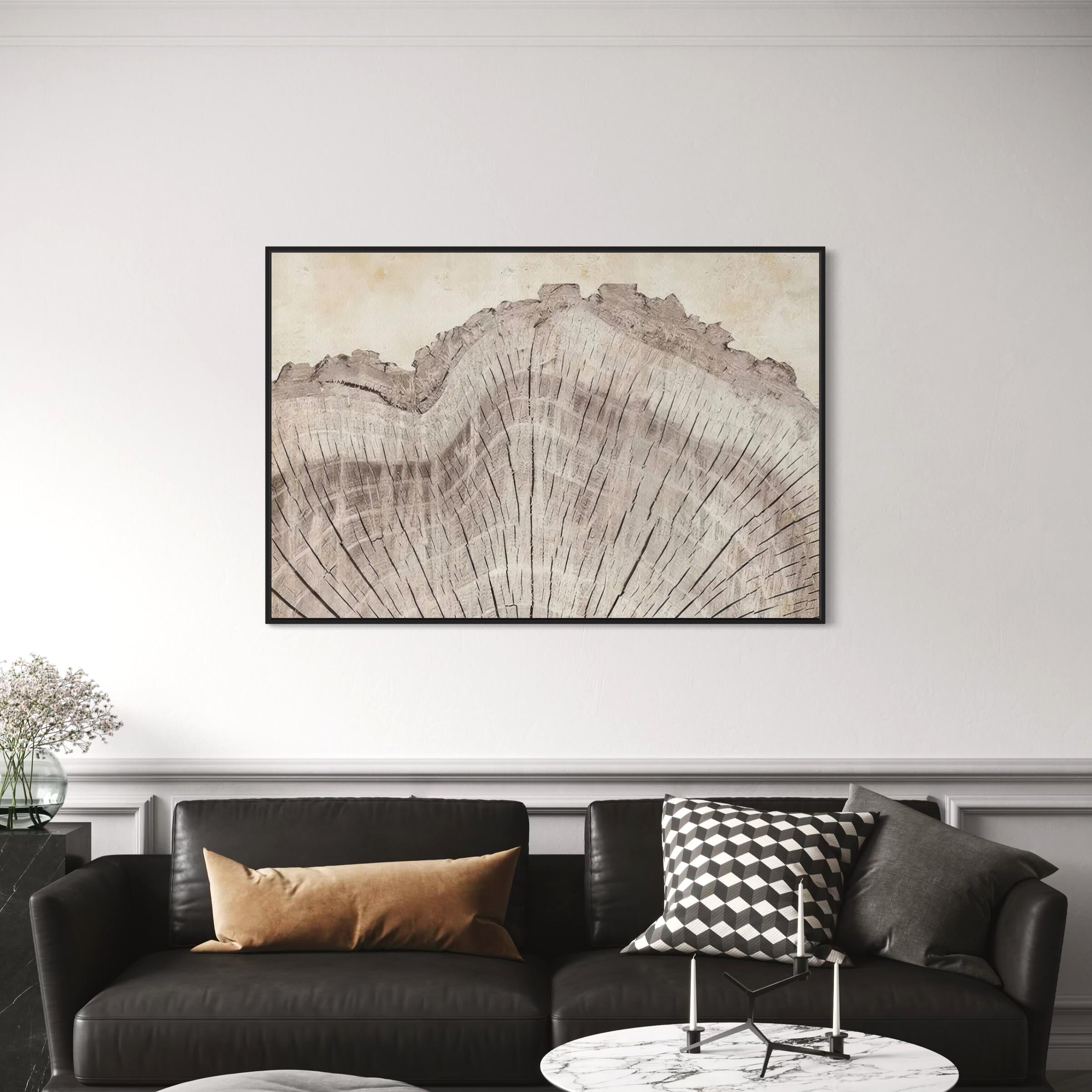 Tree Rings Oak Wood Canvas Wall Art | Poster Print | Boho Modern Neutral Minimalist Art