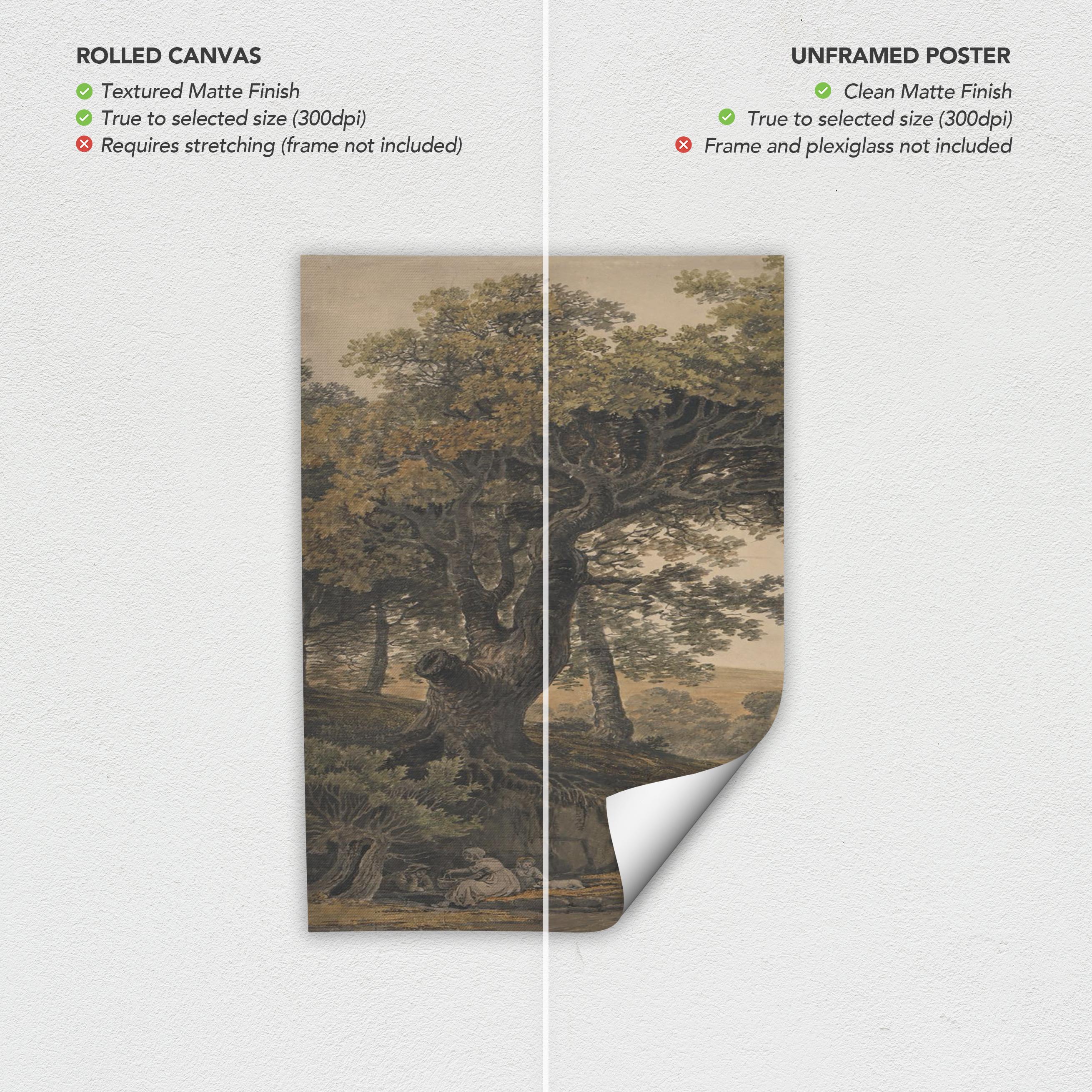 Pastoral Countryside Set of 3 Poster Prints | Canvas Wall Art | Vintage Rustic Forest Trees