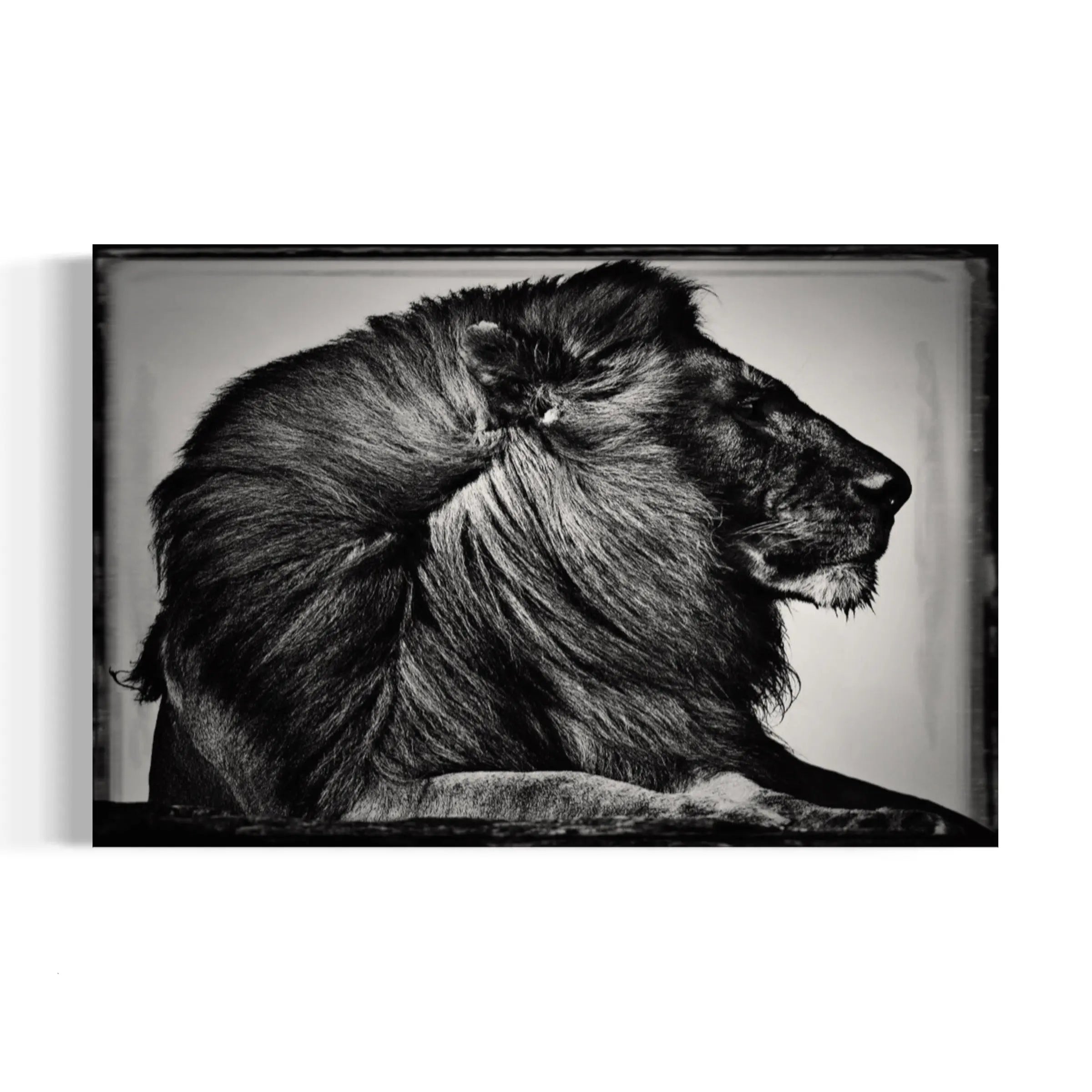 The Lion King Majestic Canvas Wall Art | Poster Print Canvastoria