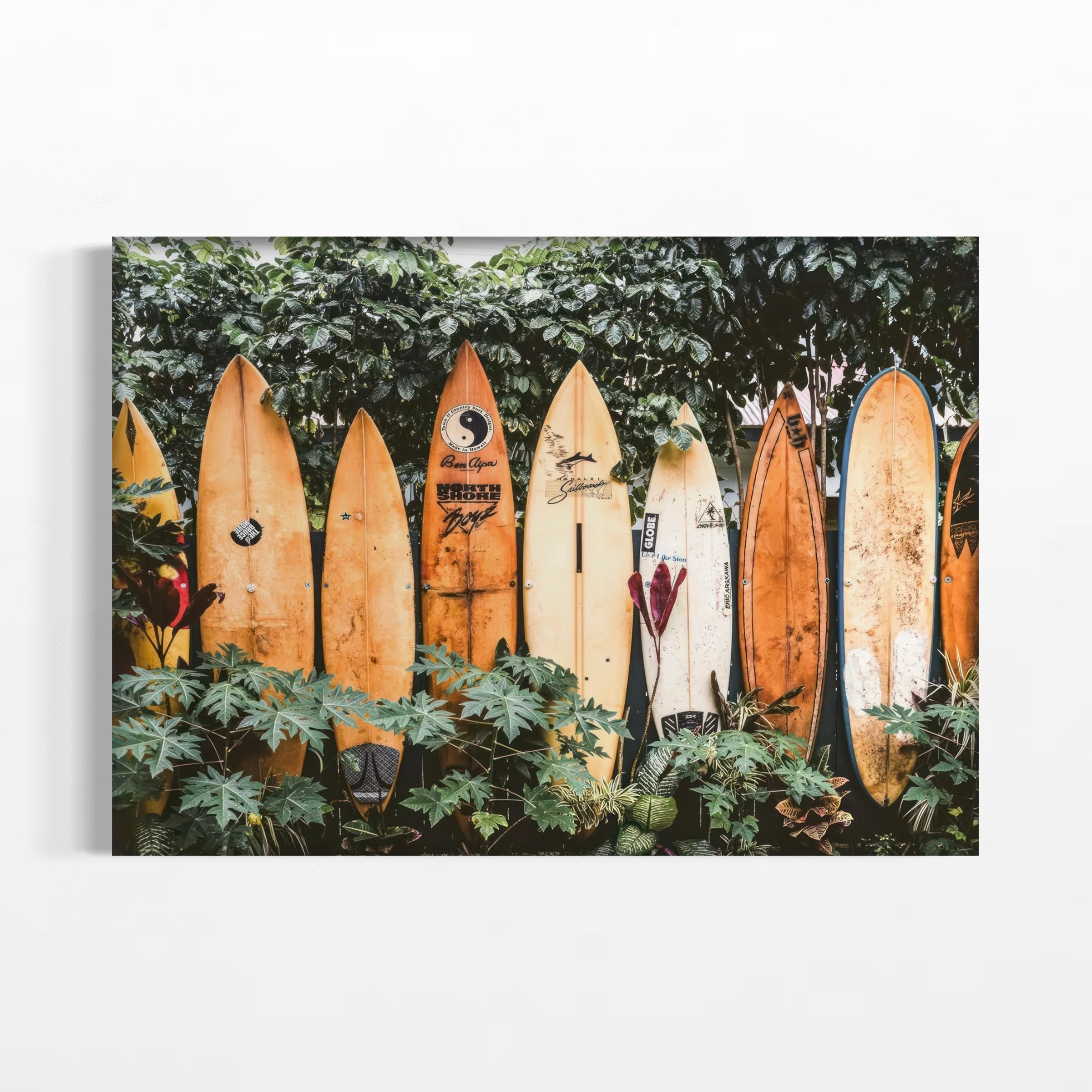 A row of surfboards leaning against a wall, surrounded by lush greenery.