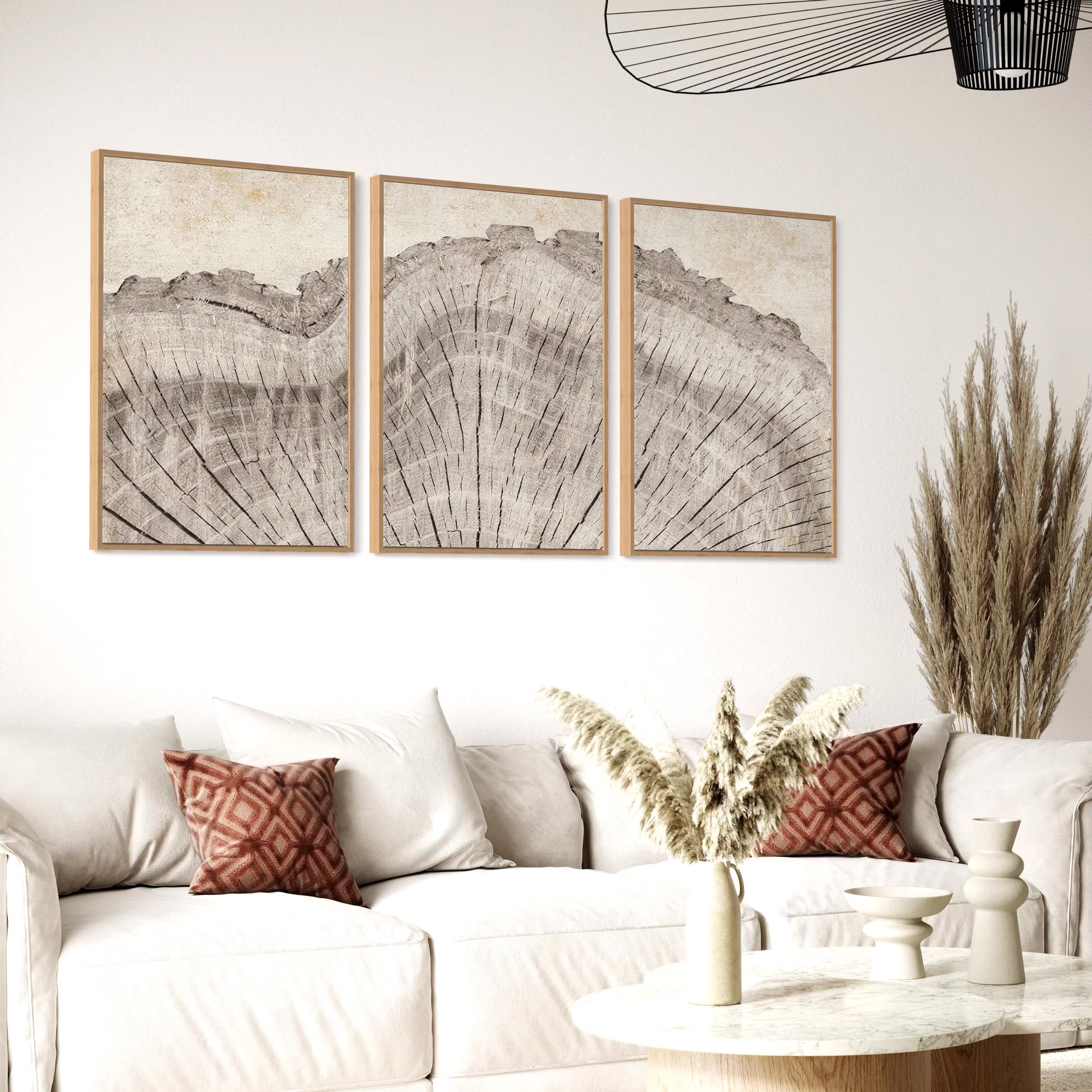 Framed Wall Art Canvas | Poster Print Set of 3 Oak Wood Tree Rings | Neutral Boho Decor