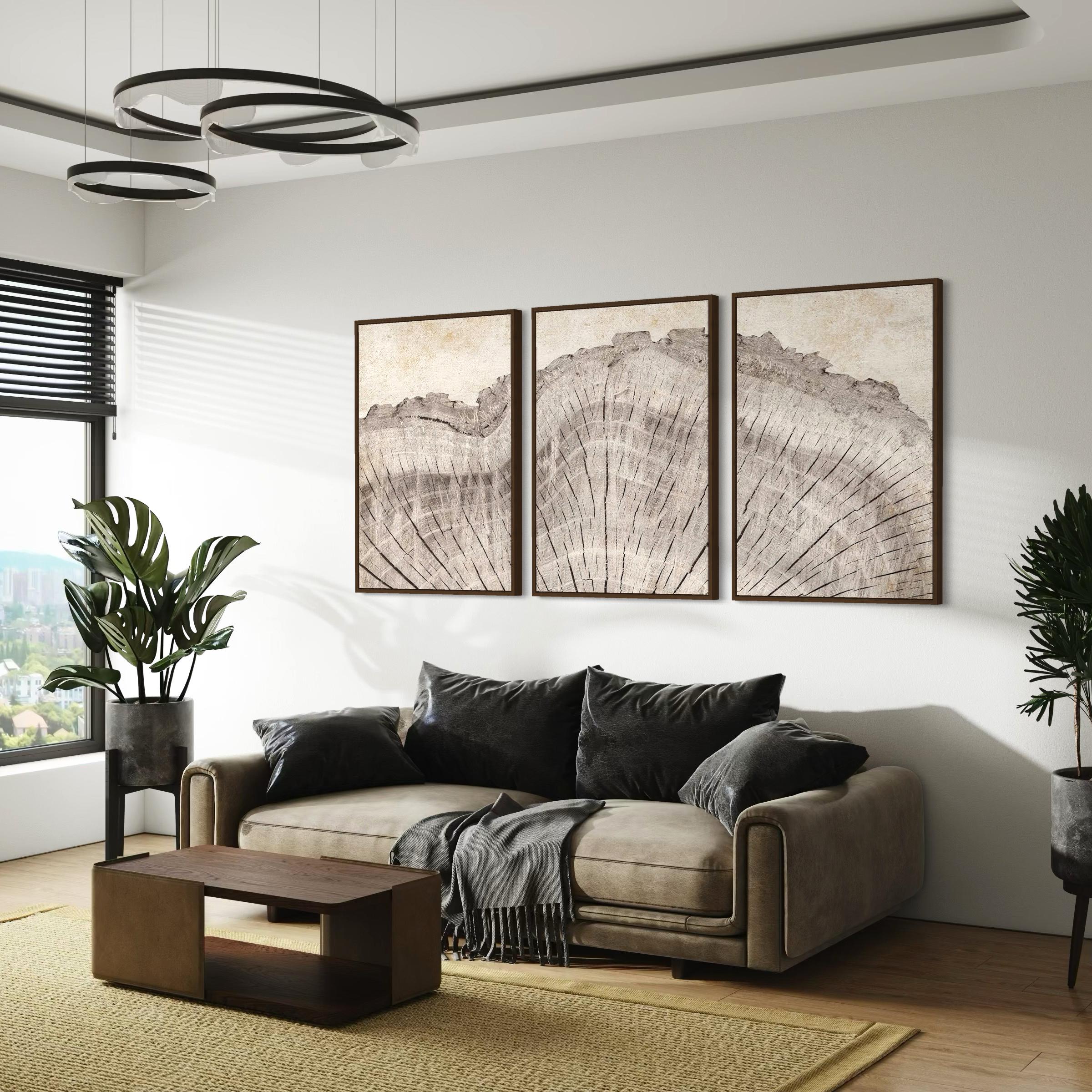 Framed Wall Art Canvas | Poster Print Set of 3 Oak Wood Tree Rings | Neutral Boho Decor