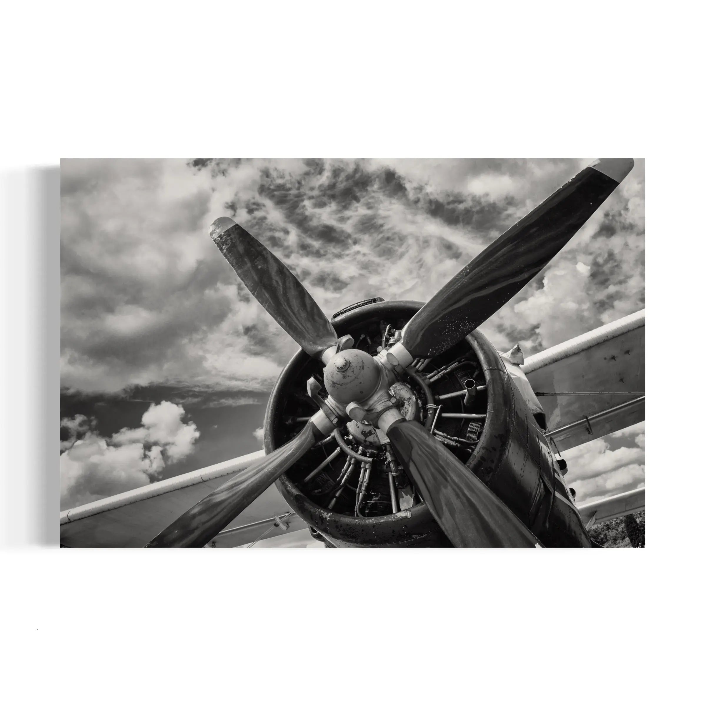 a black and white photo of a propeller plane