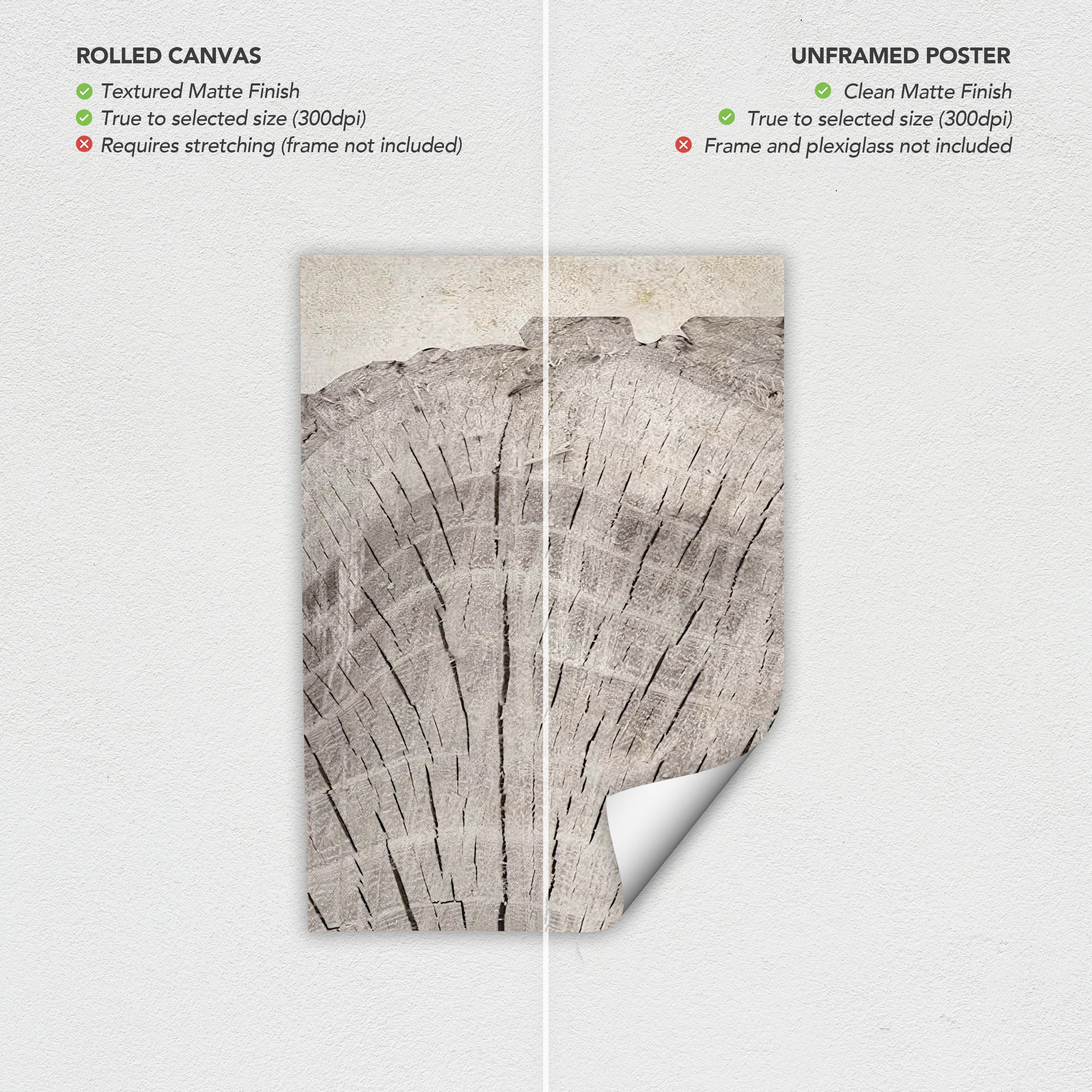 Framed Wall Art Canvas | Poster Print Set of 3 Oak Wood Tree Rings | Neutral Boho Decor