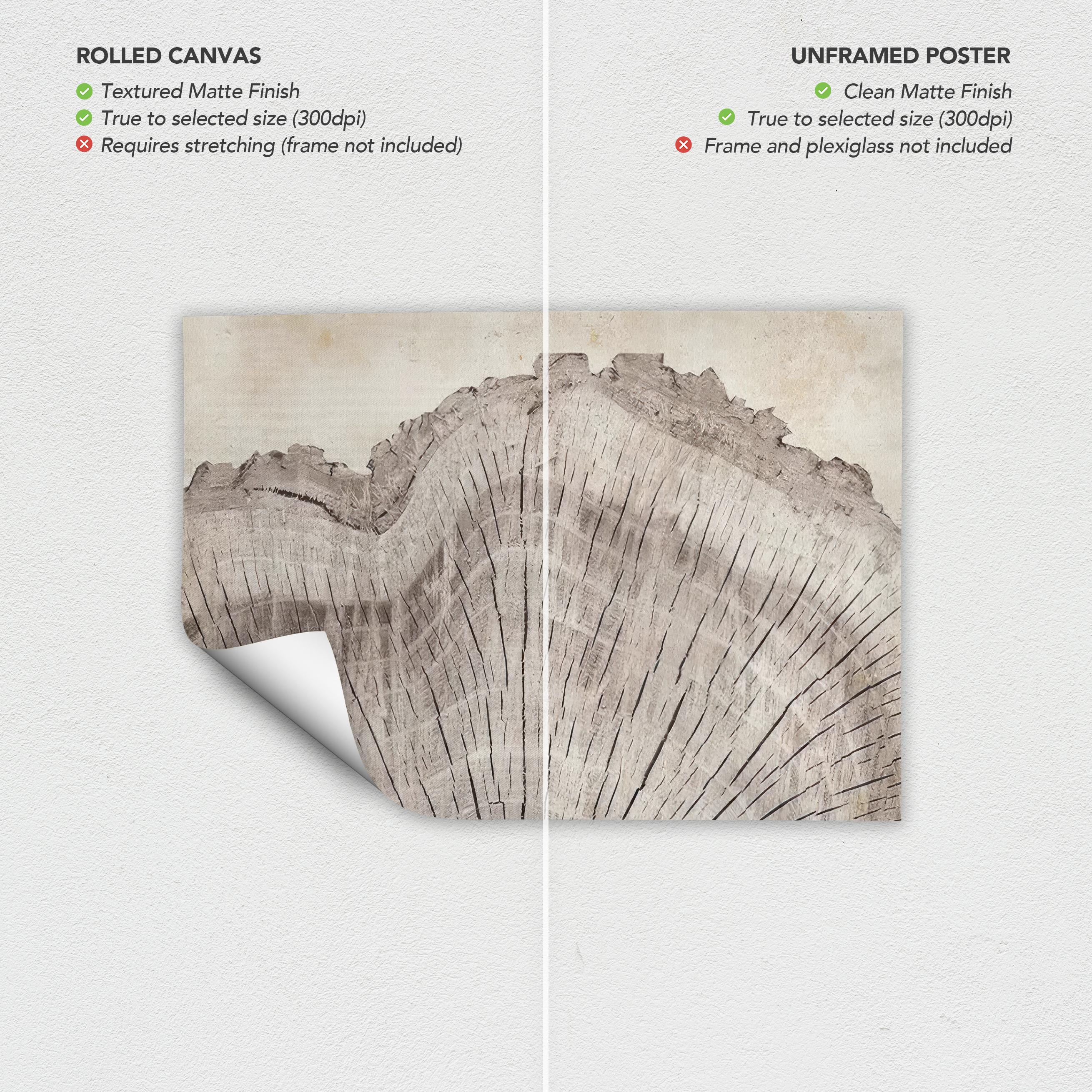 Tree Rings Oak Wood Canvas Wall Art | Poster Print | Boho Modern Neutral Minimalist Art