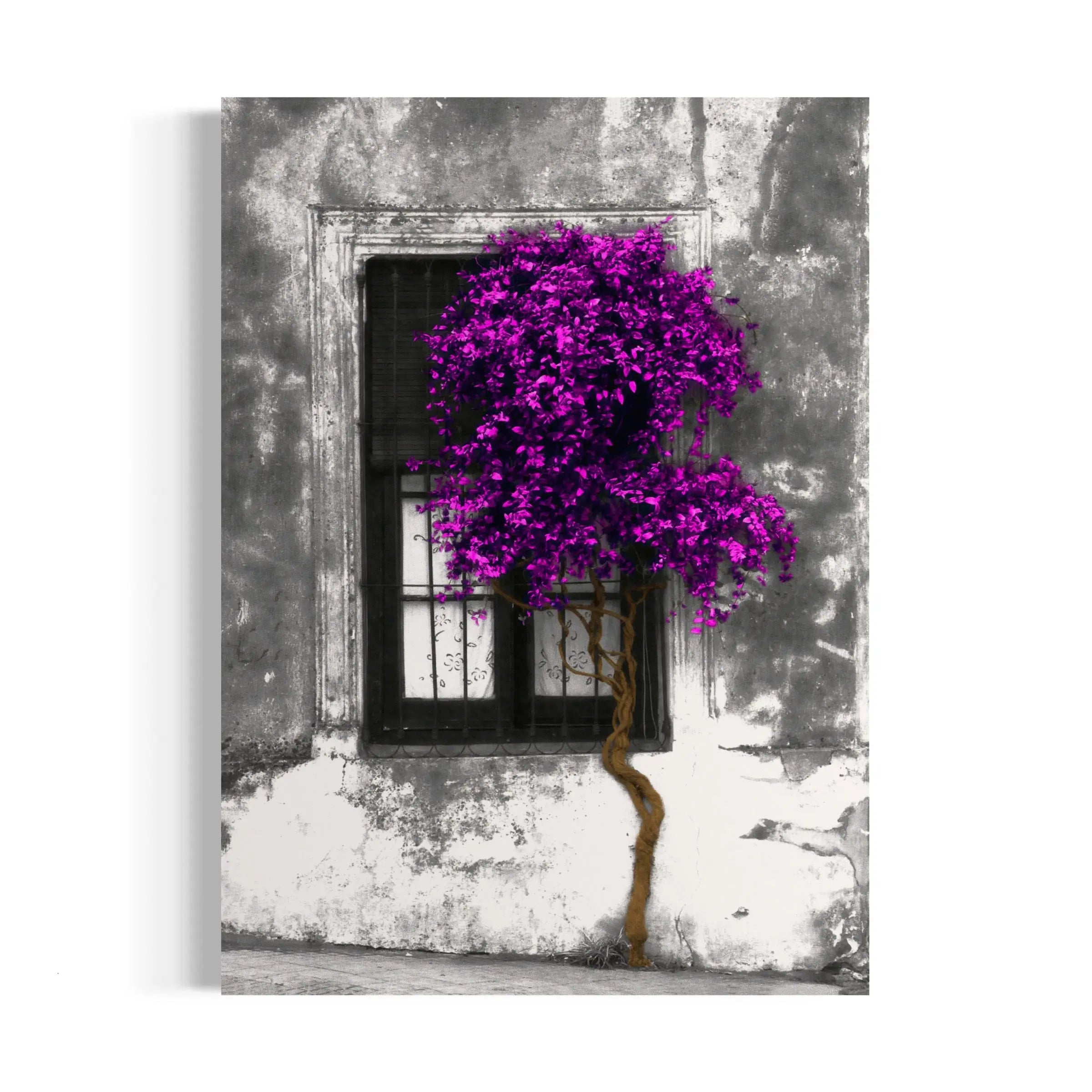 a purple tree in front of a window