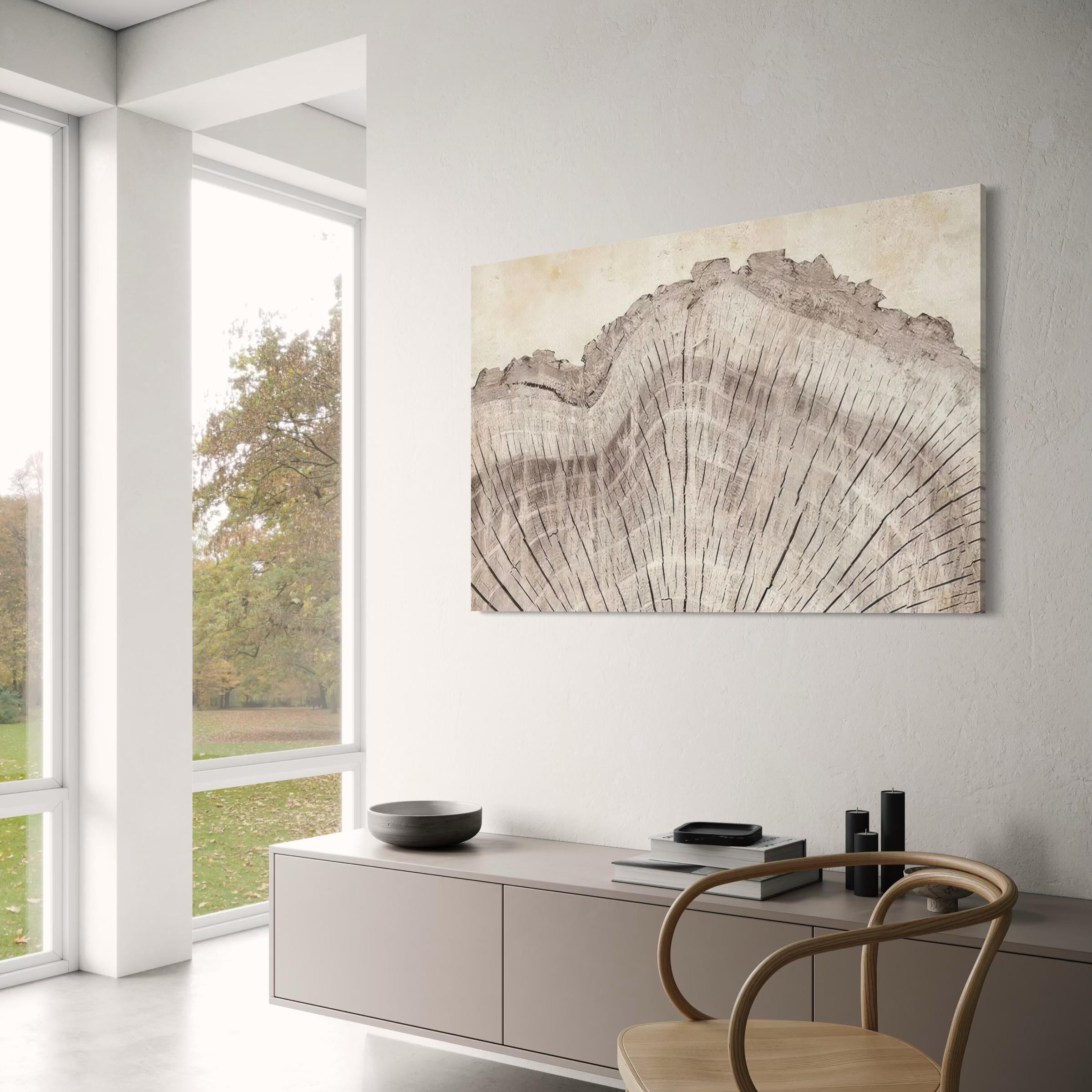 Tree Rings Oak Wood Canvas Wall Art | Poster Print | Boho Modern Neutral Minimalist Art