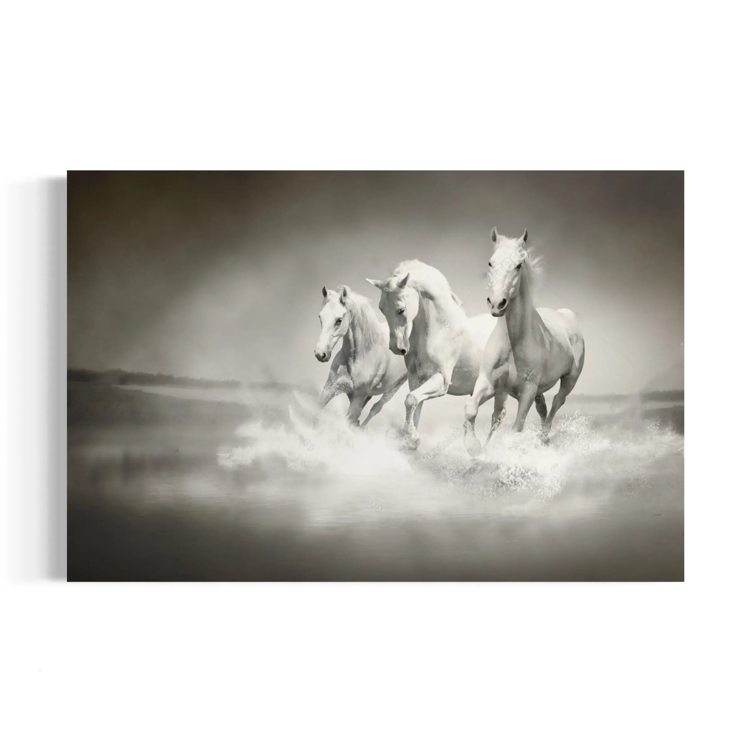 three white horses running through the water