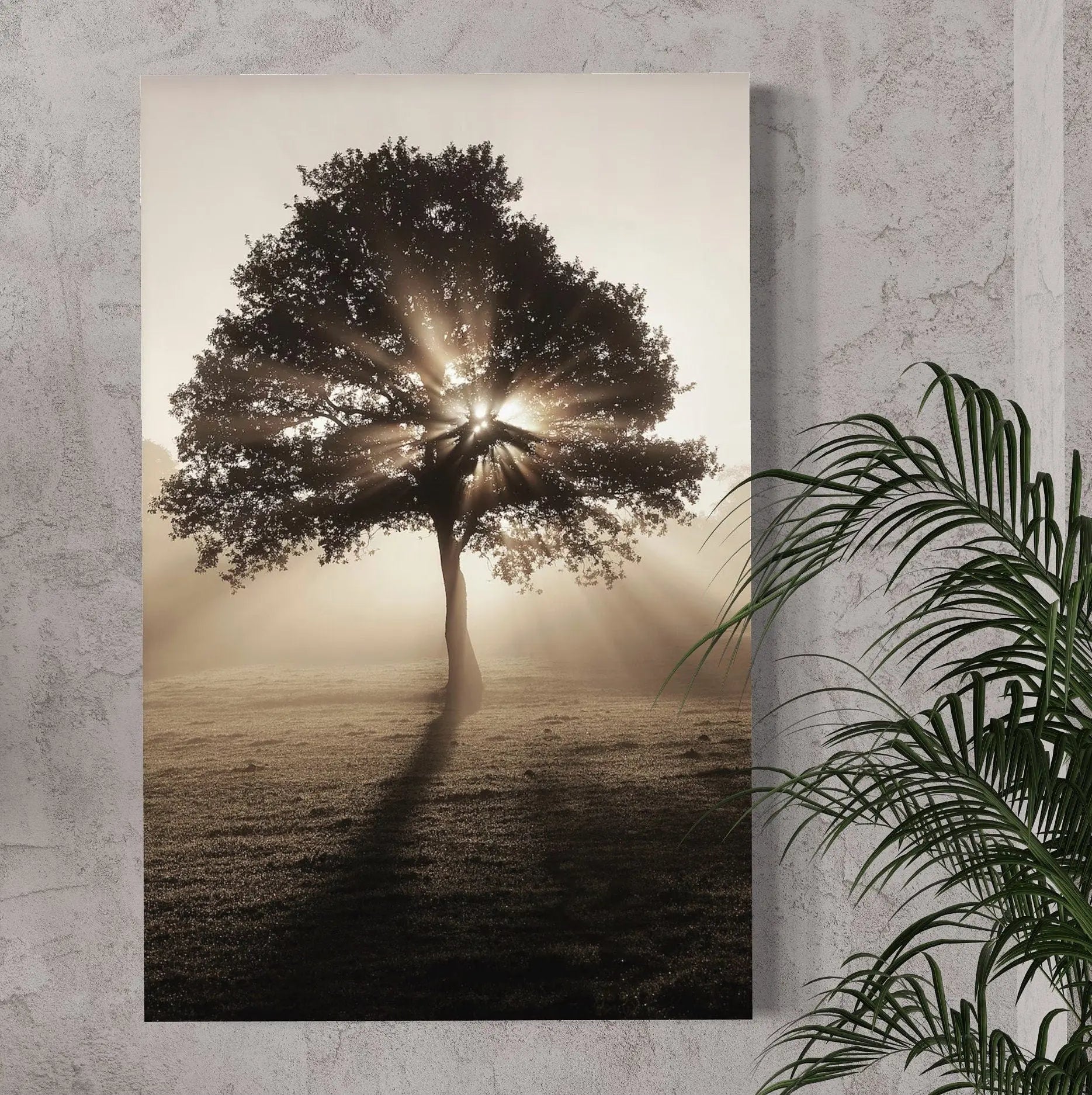 Tree & Sun Streaks Canvas Wall Art | Poster Print Canvastoria
