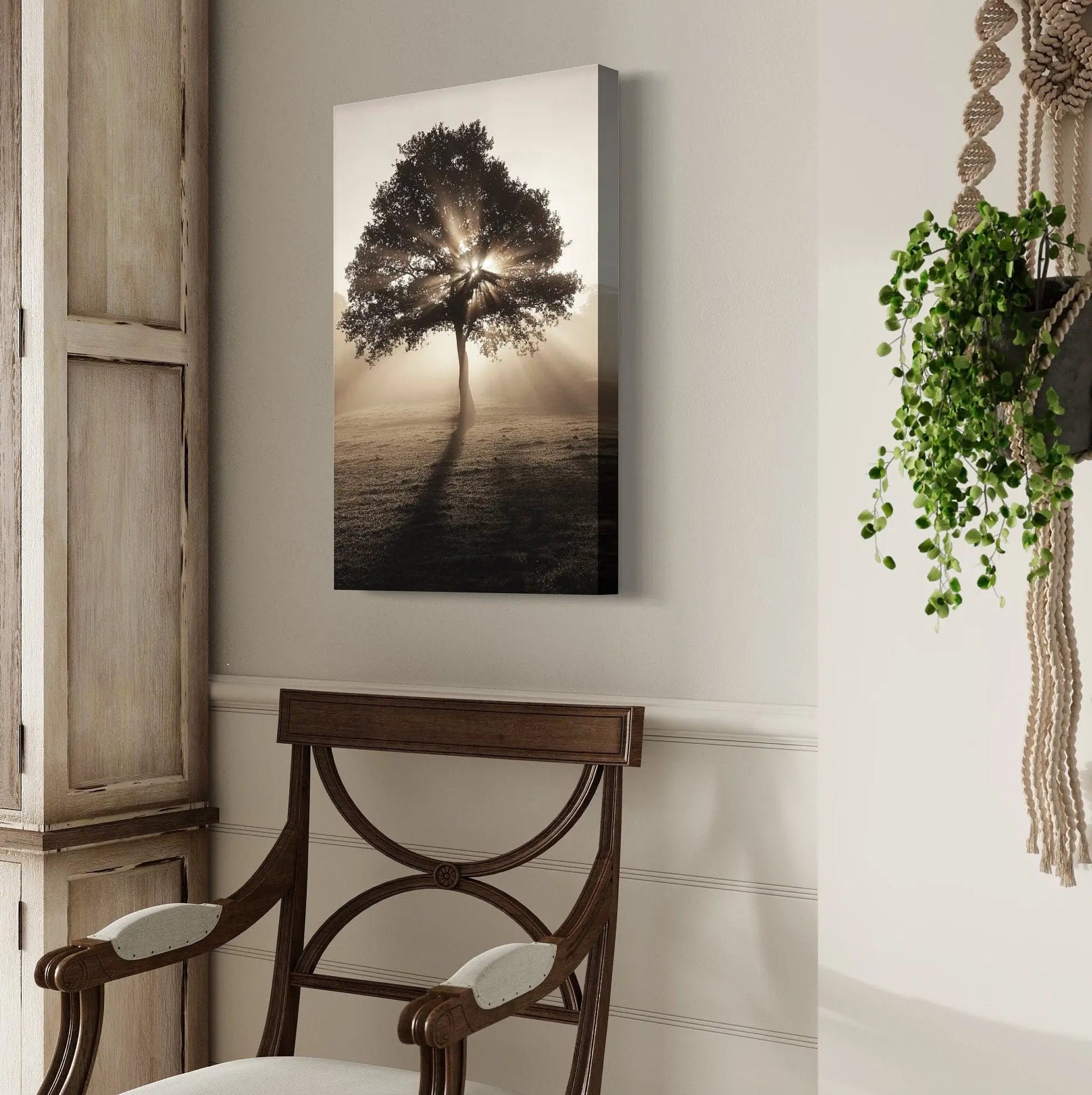 Tree & Sun Streaks Canvas Wall Art | Poster Print Canvastoria