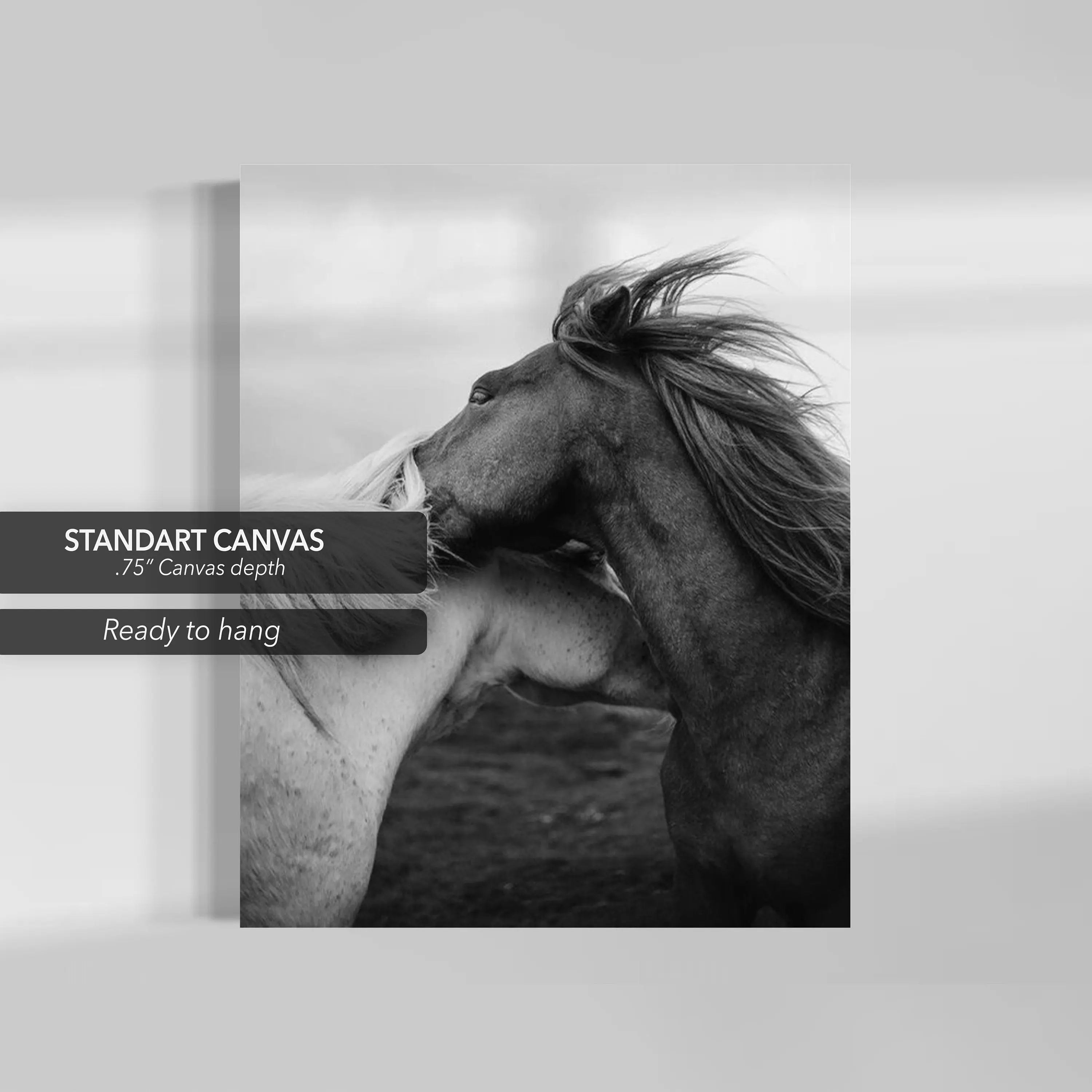 Love Horses in Black & White Canvas Wall Art | Poster Print - Canvastoria
