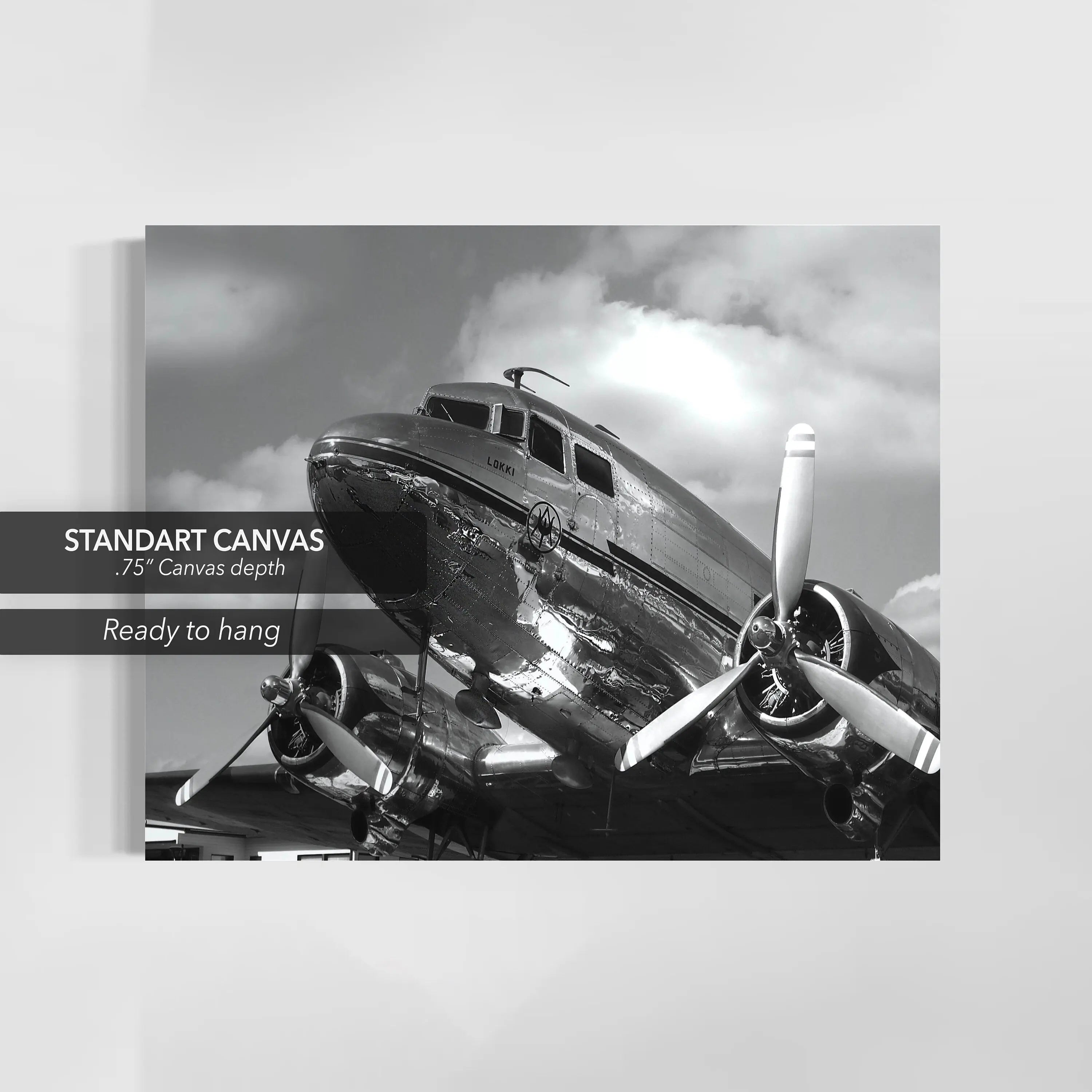 Douglas DC-3 Aircraft Canvas Wall Art | Poster Print Canvastoria