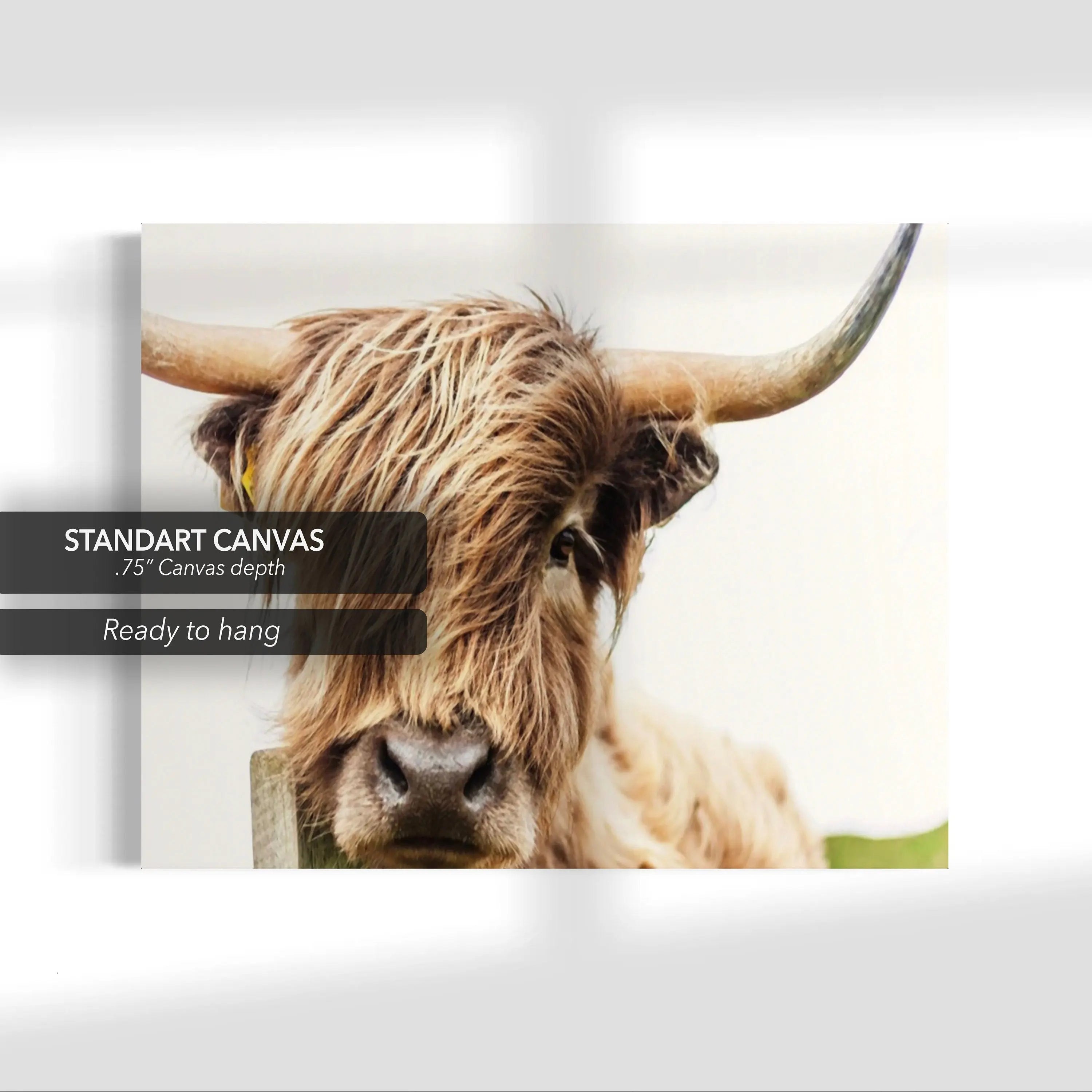 Highland Cow Canvas Wall Art | Poster Print Canvastoria