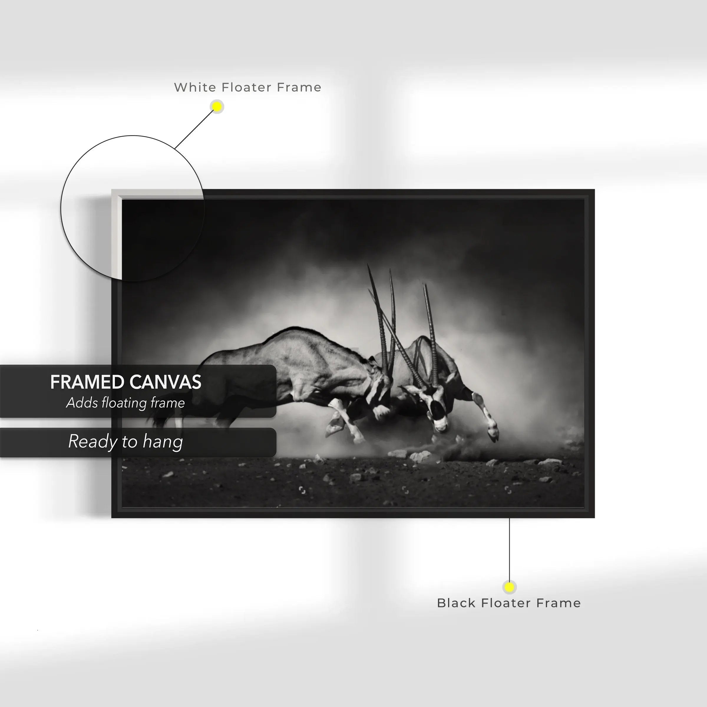 Fighting Oryxes in Wild Canvas Wall Art | Poster Print Canvastoria