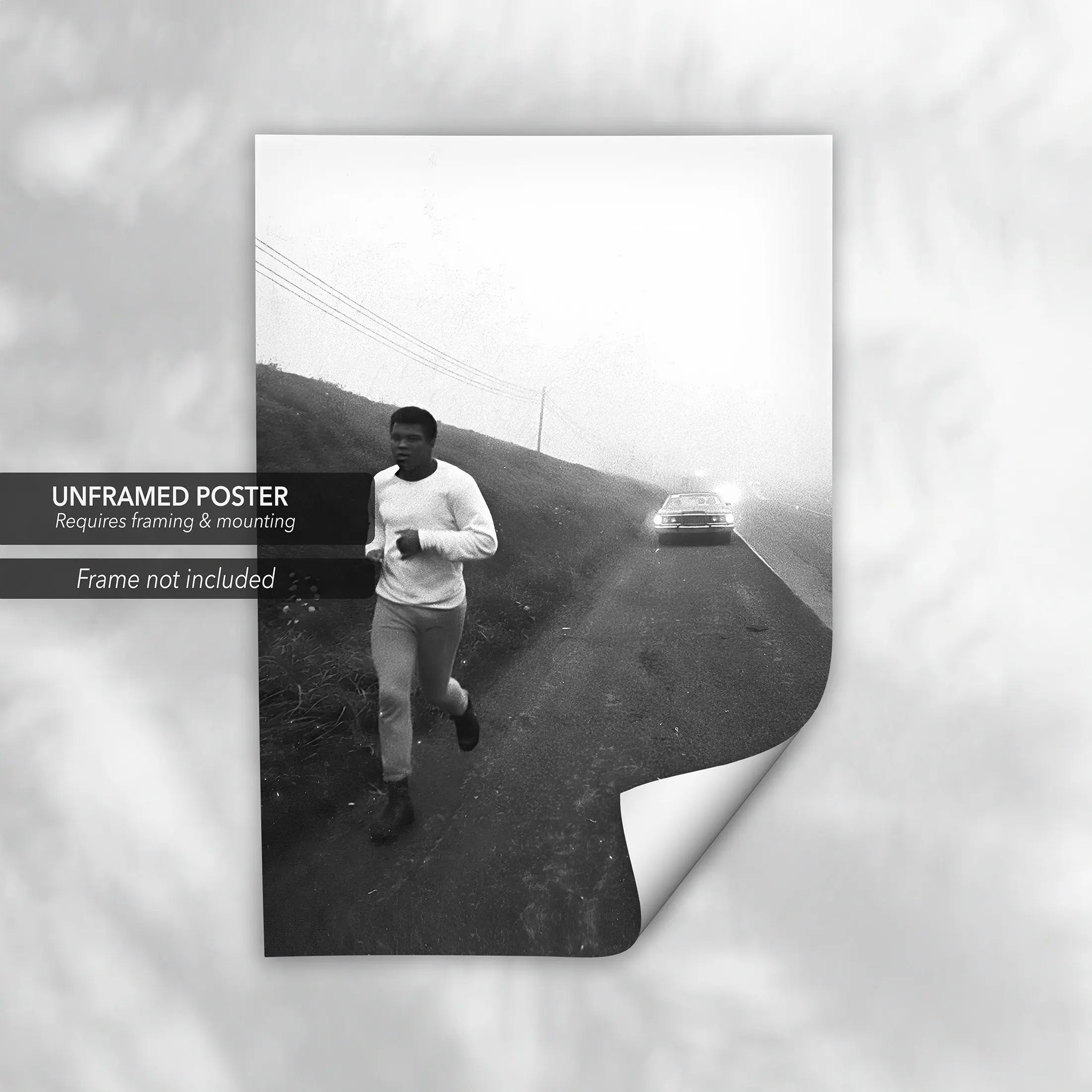 Muhammad Ali 'Running Along The Side' Canvas Wall Art | Poster Print Canvastoria