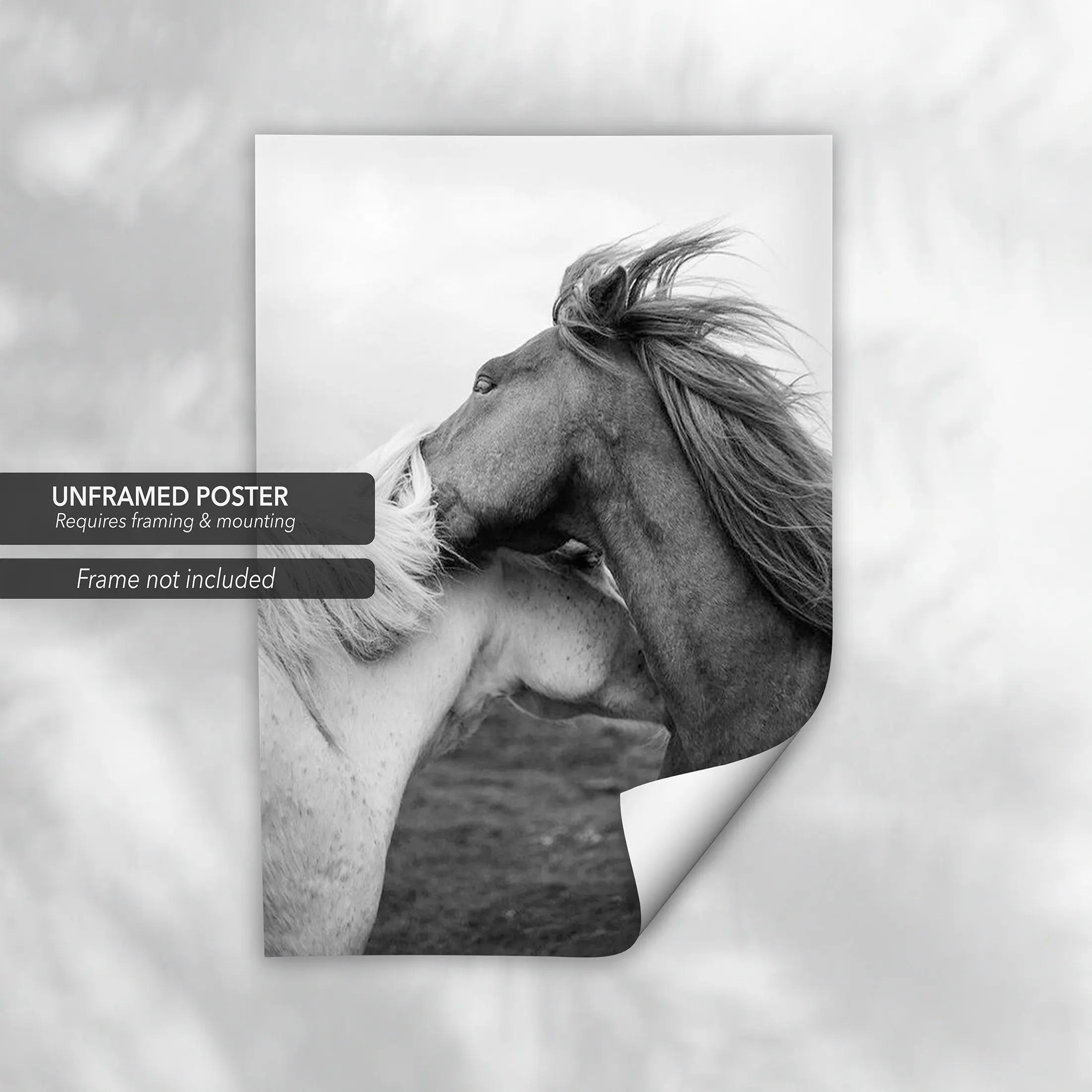 Love Horses in Black & White Canvas Wall Art | Poster Print - Canvastoria