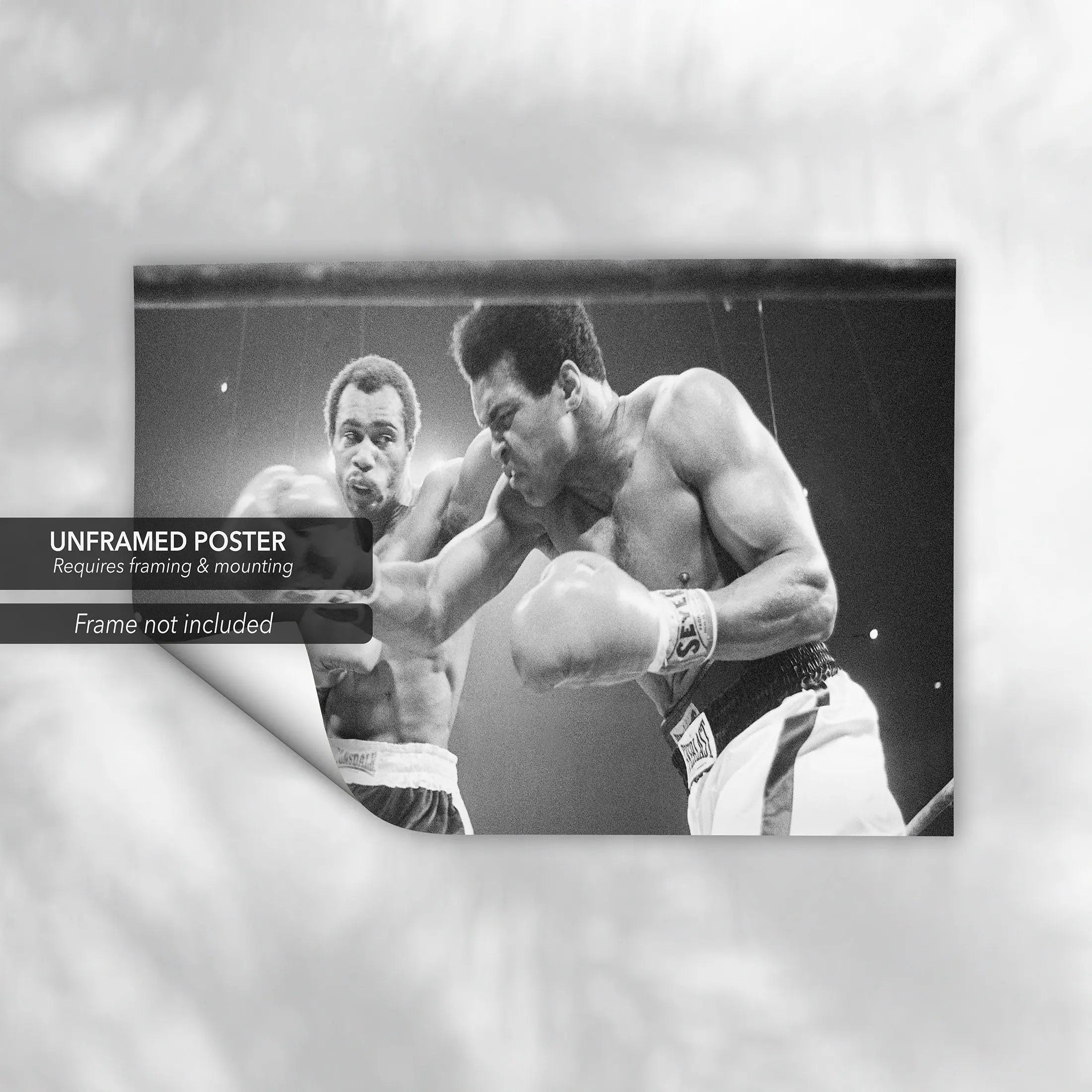 Muhammad Ali 'Knockout' Canvas Wall Art | Poster Print - Canvastoria