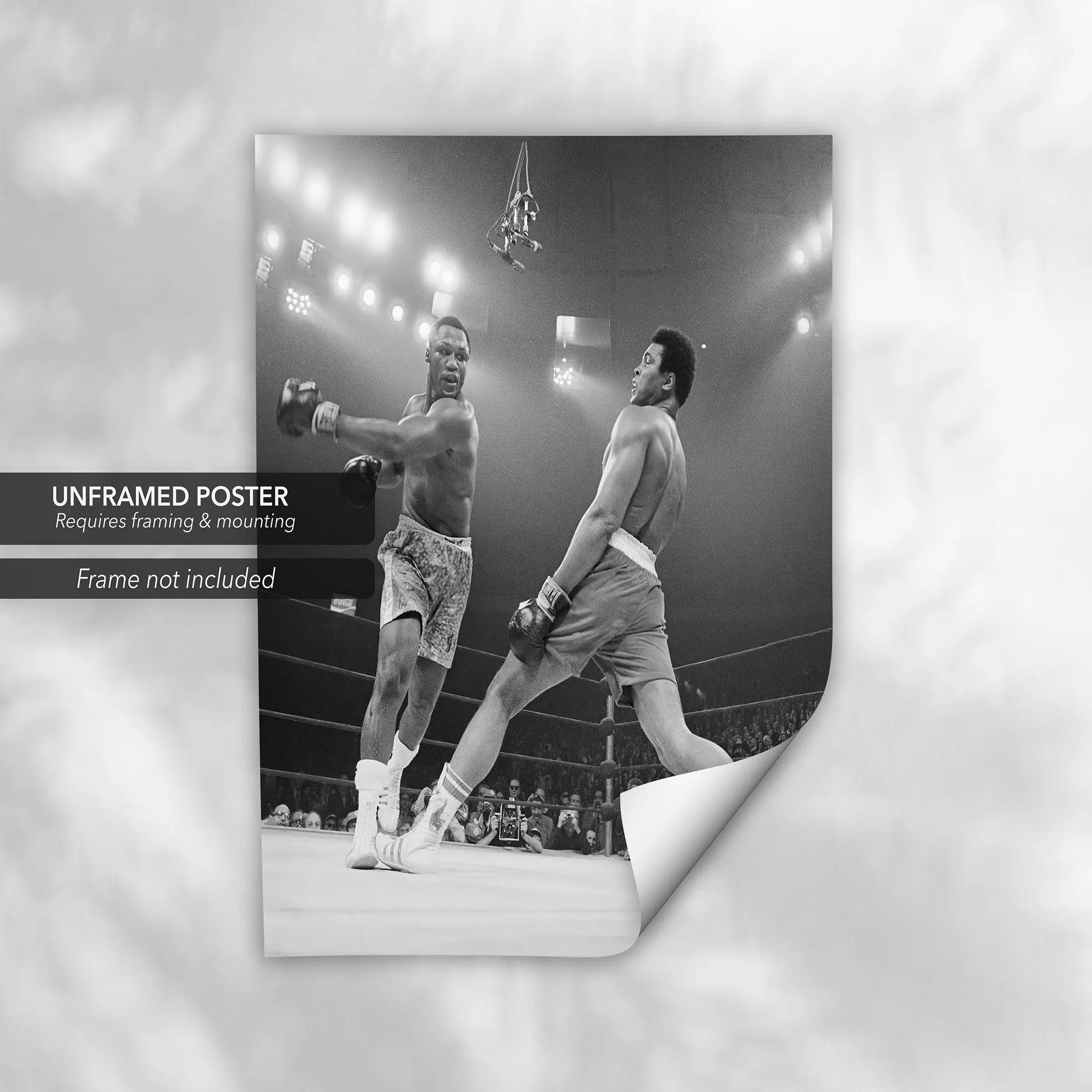 Muhammad Ali Float Butterfly Canvas Wall Art | Poster Print Canvastoria