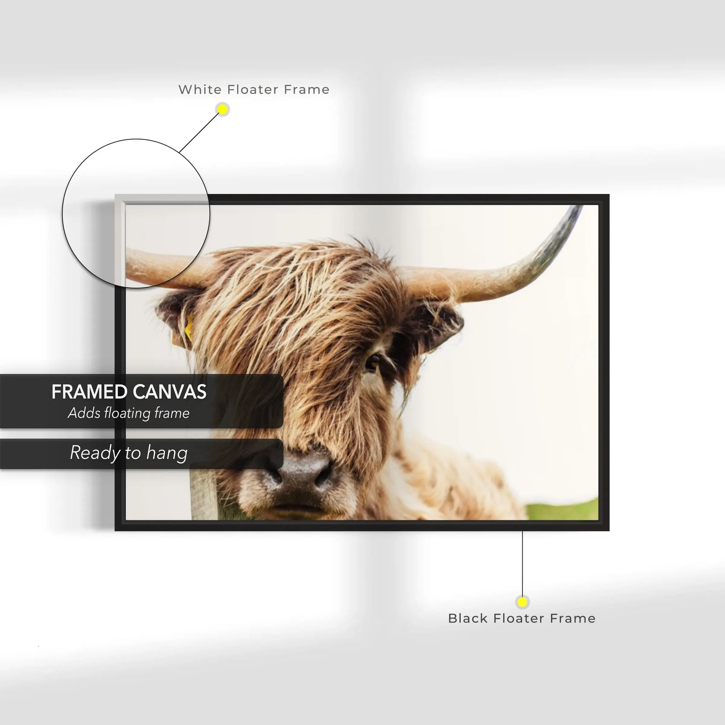 Highland Cow Canvas Wall Art | Poster Print Canvastoria