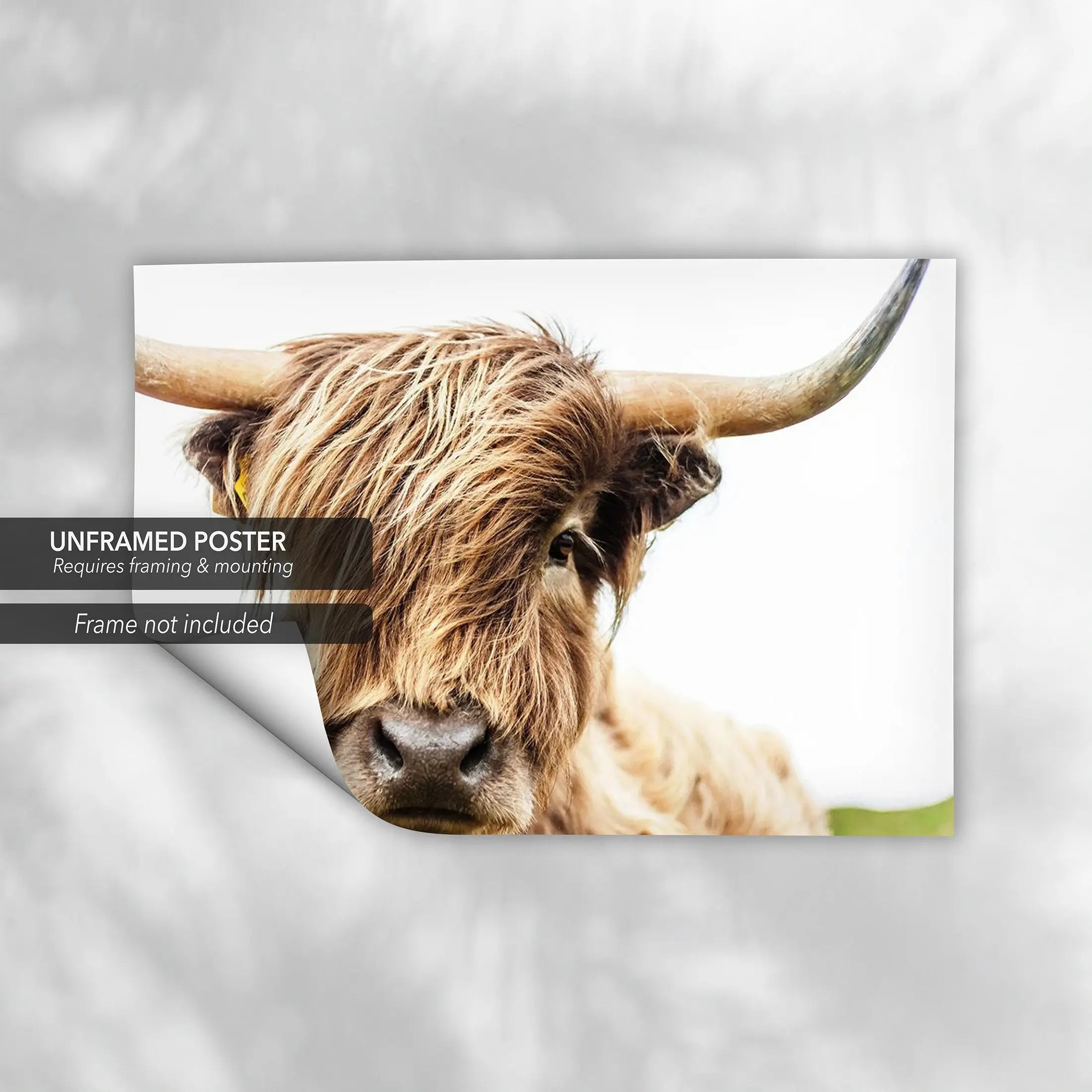 Highland Cow Canvas Wall Art | Poster Print Canvastoria