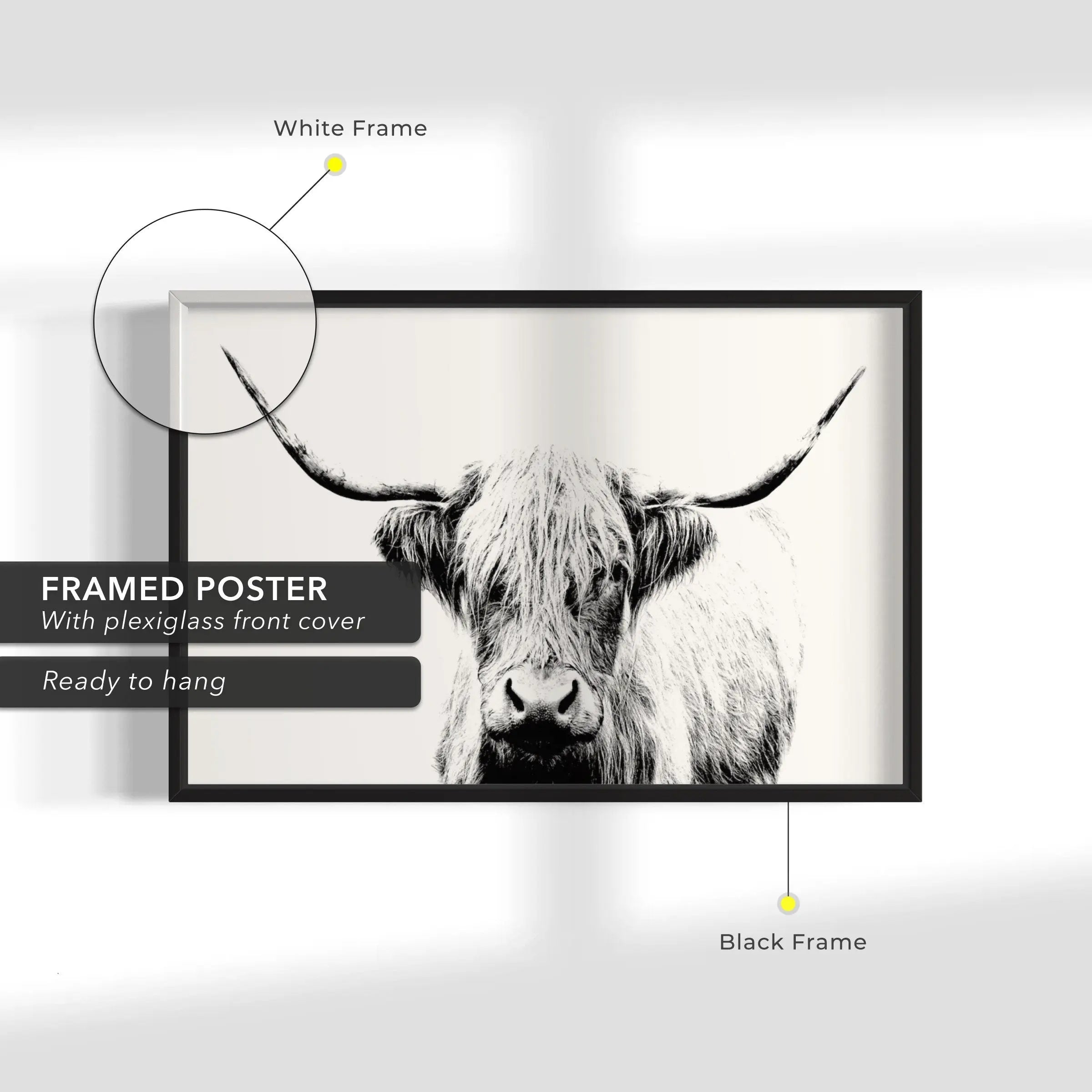 Cow Horn Black & White Art Photo Canvas Wall Art | Poster Print Canvastoria