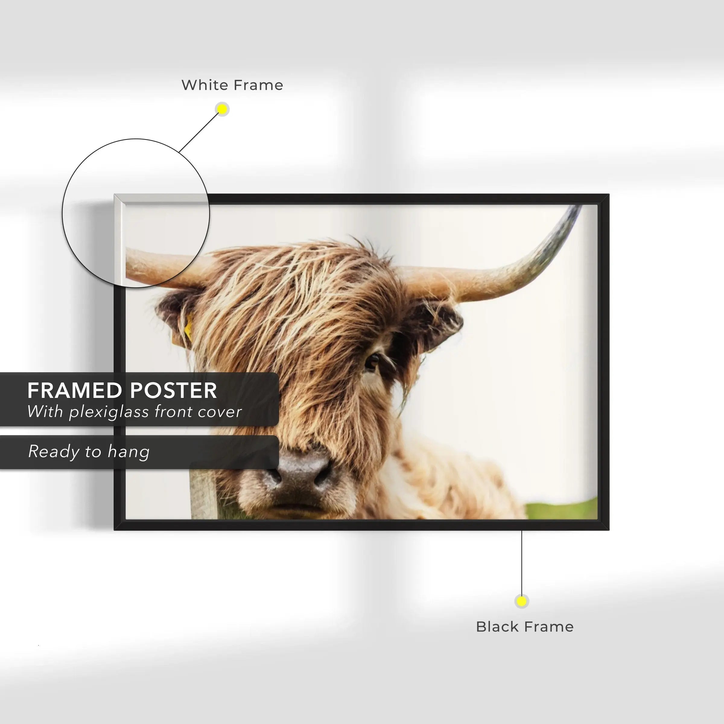 Highland Cow Canvas Wall Art | Poster Print Canvastoria