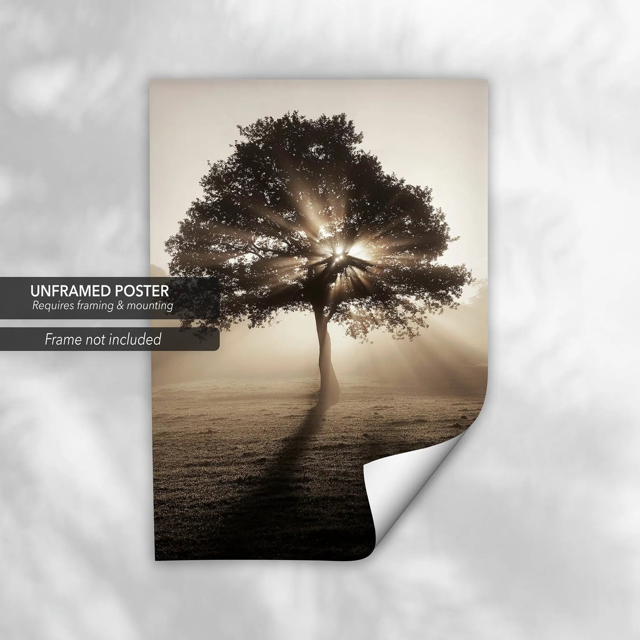 Tree & Sun Streaks Canvas Wall Art | Poster Print Canvastoria