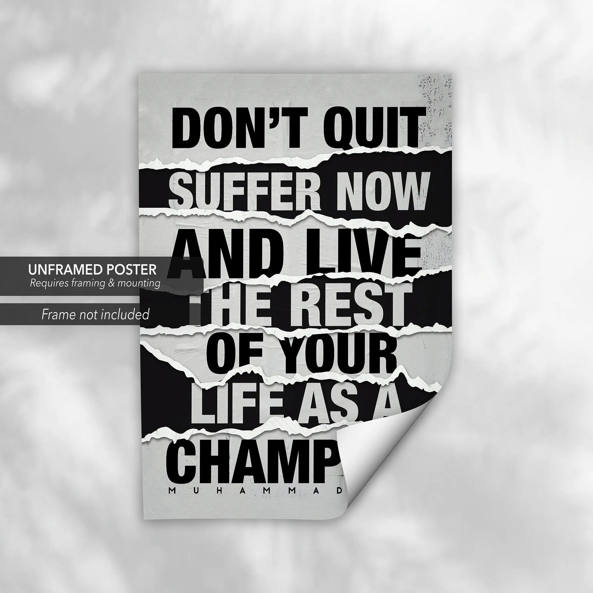 Muhammad Ali 'Don't Quit' Canvas Wall Art | Poster Print Canvastoria