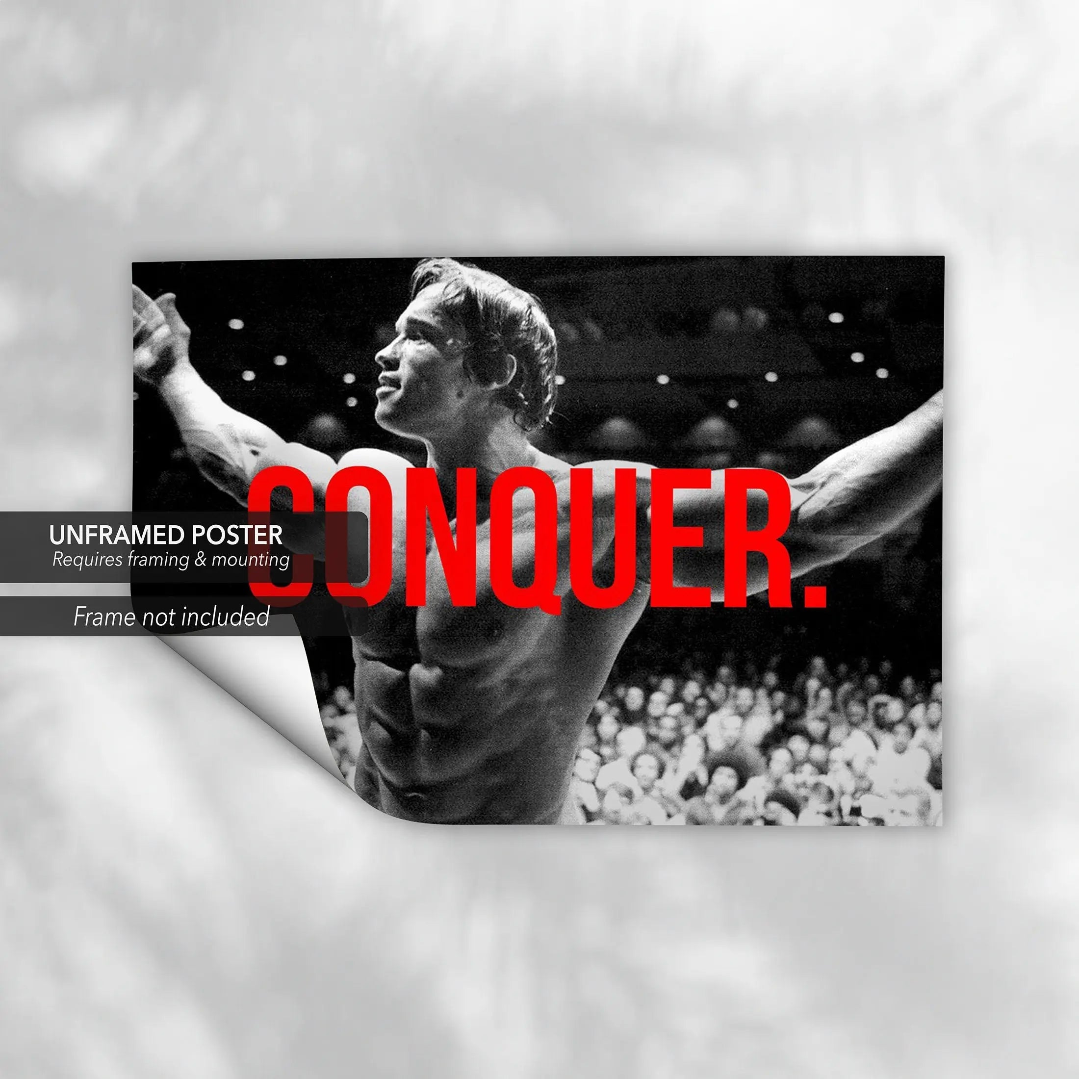 Arnold ‘Conquer Every Challenge’ Canvas Wall Art | Poster Print - Canvastoria