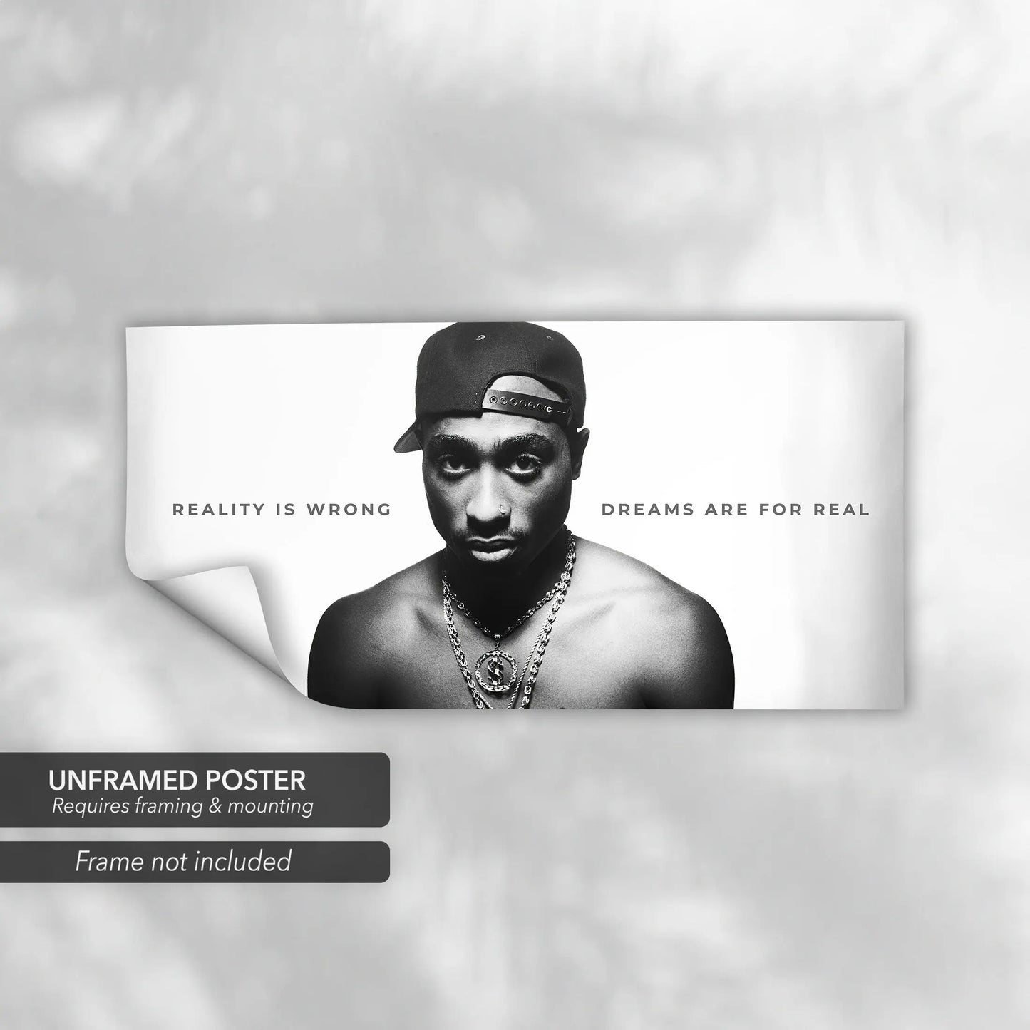 2PAC Reality Is Wrong Canvas Art | Poster Print - Canvastoria